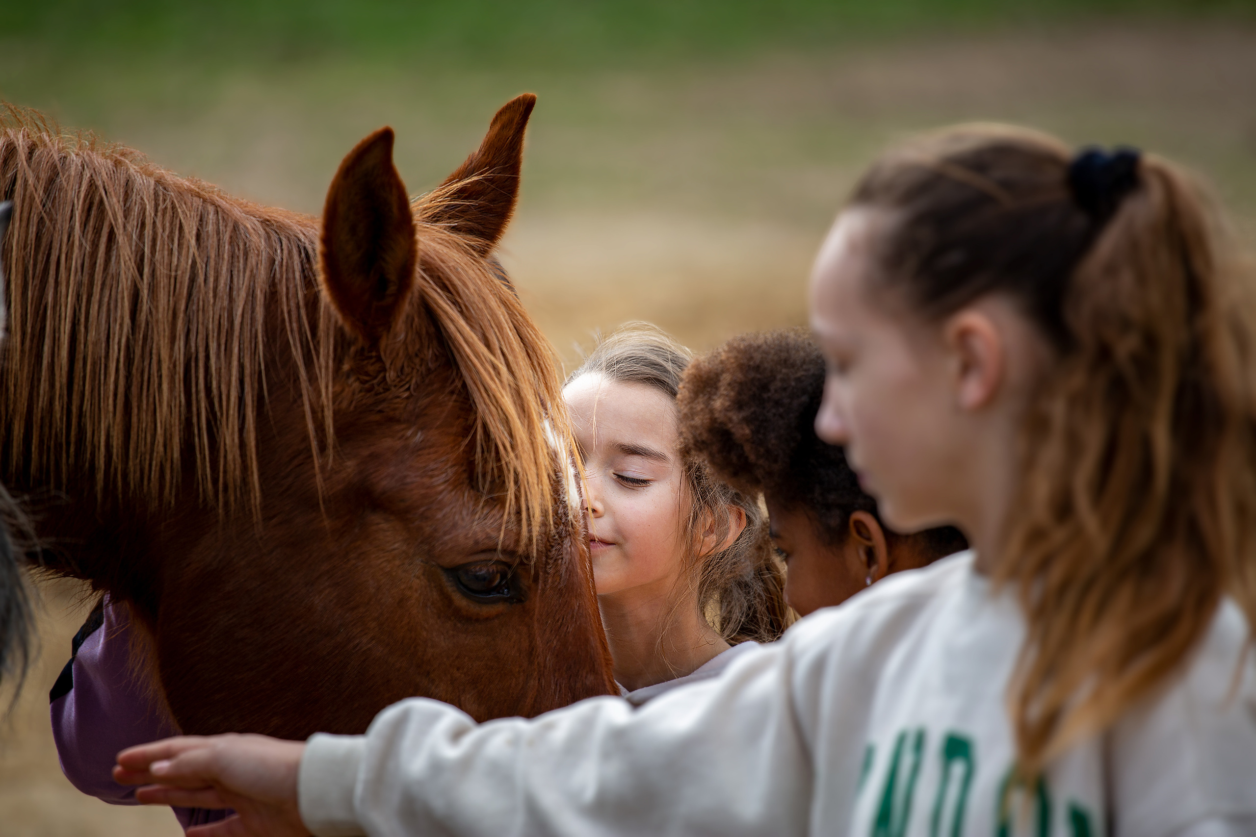 Retratos. Fotógrafo Y Videógrafo Rost Kutuzov