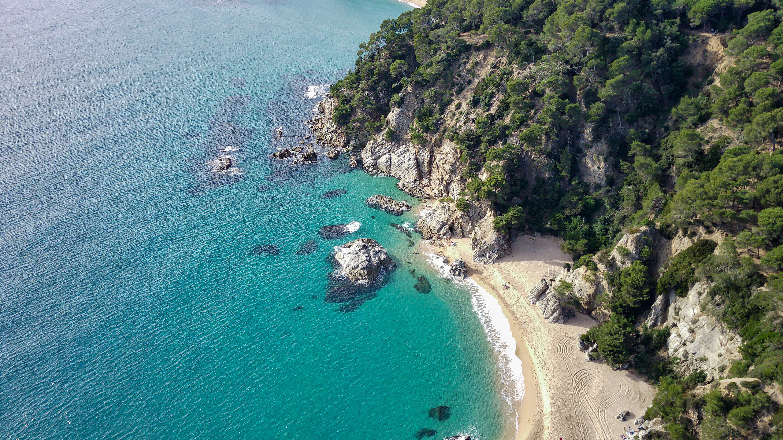 Dron. Fotógrafo Y Videógrafo Rost Kutuzov