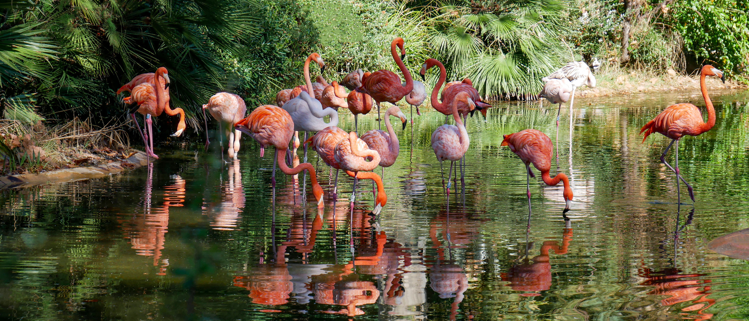 Fotógrafo Y Videógrafo Rost Kutuzov