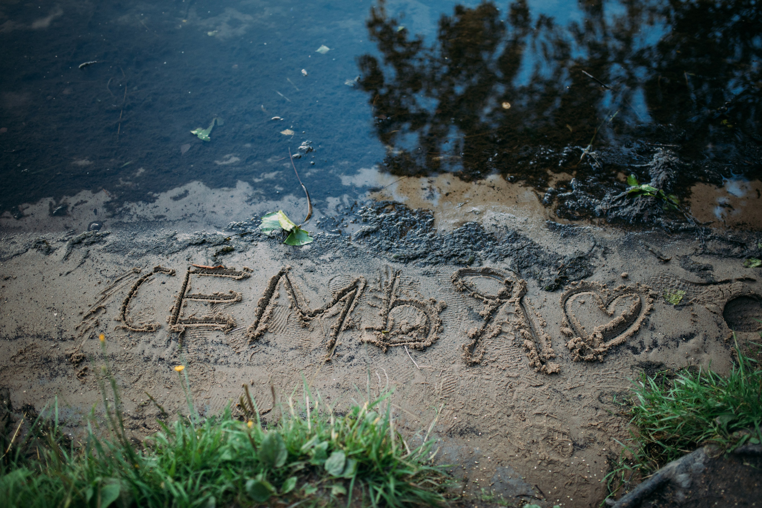 Фотосессия многодетной семьи. Фотограф Лебедева Наталья