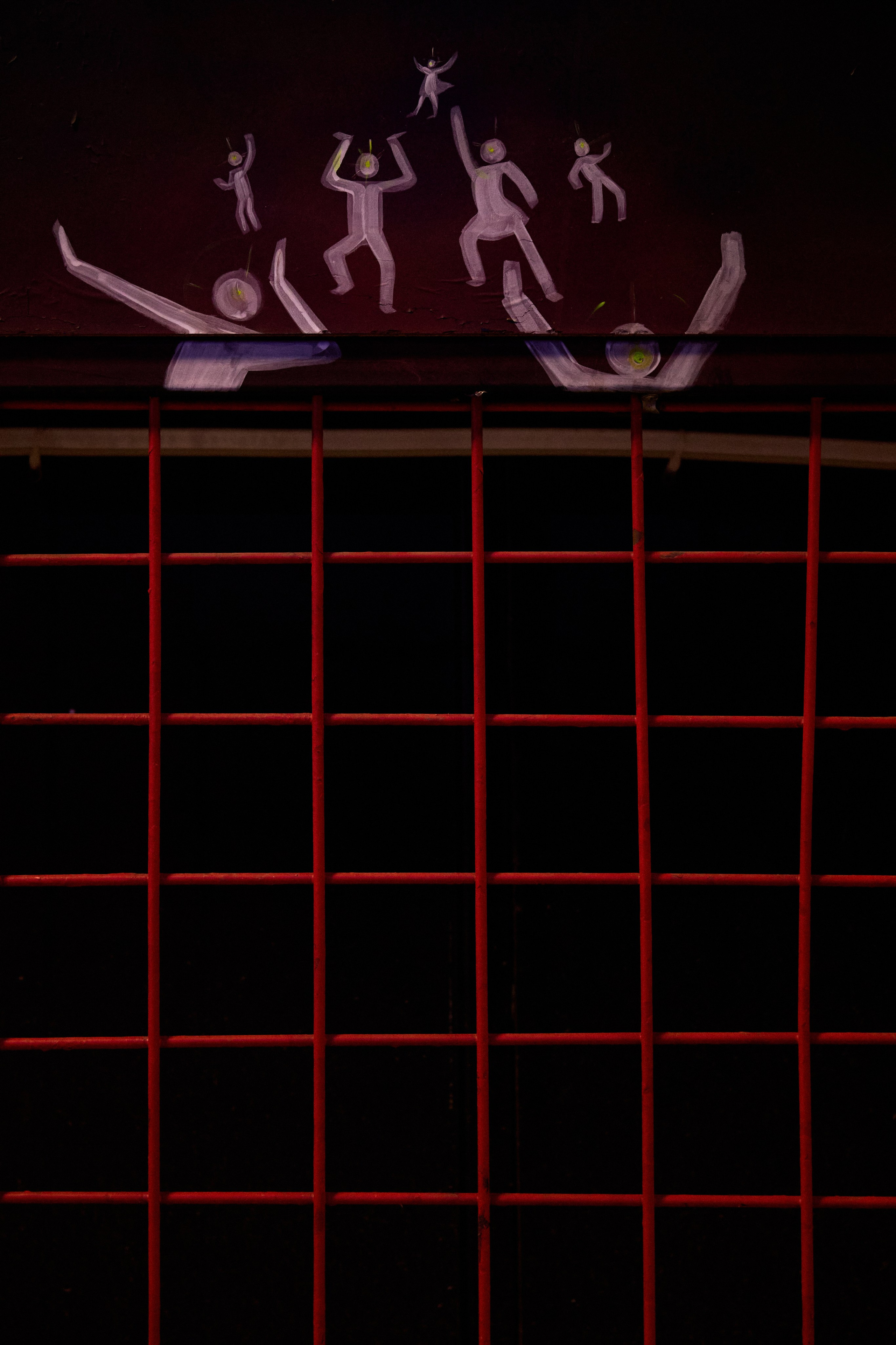 КОЧКА. Фотограф Айвазова Наталья Краснодар