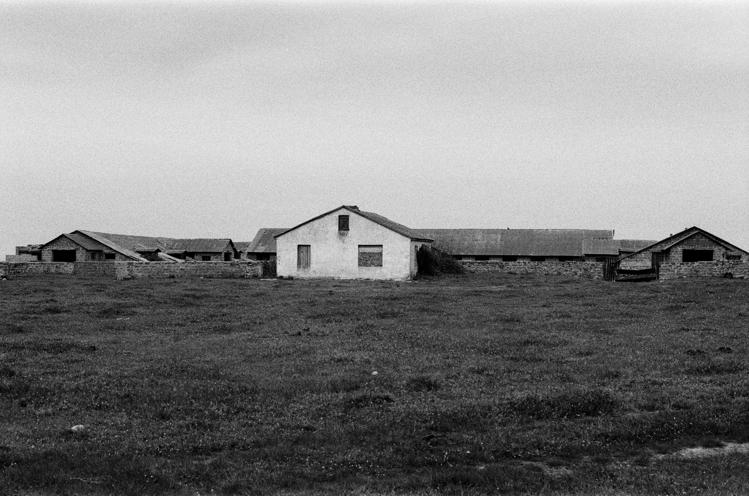 Move me // ukraine, crimea. EVER EXPOSED