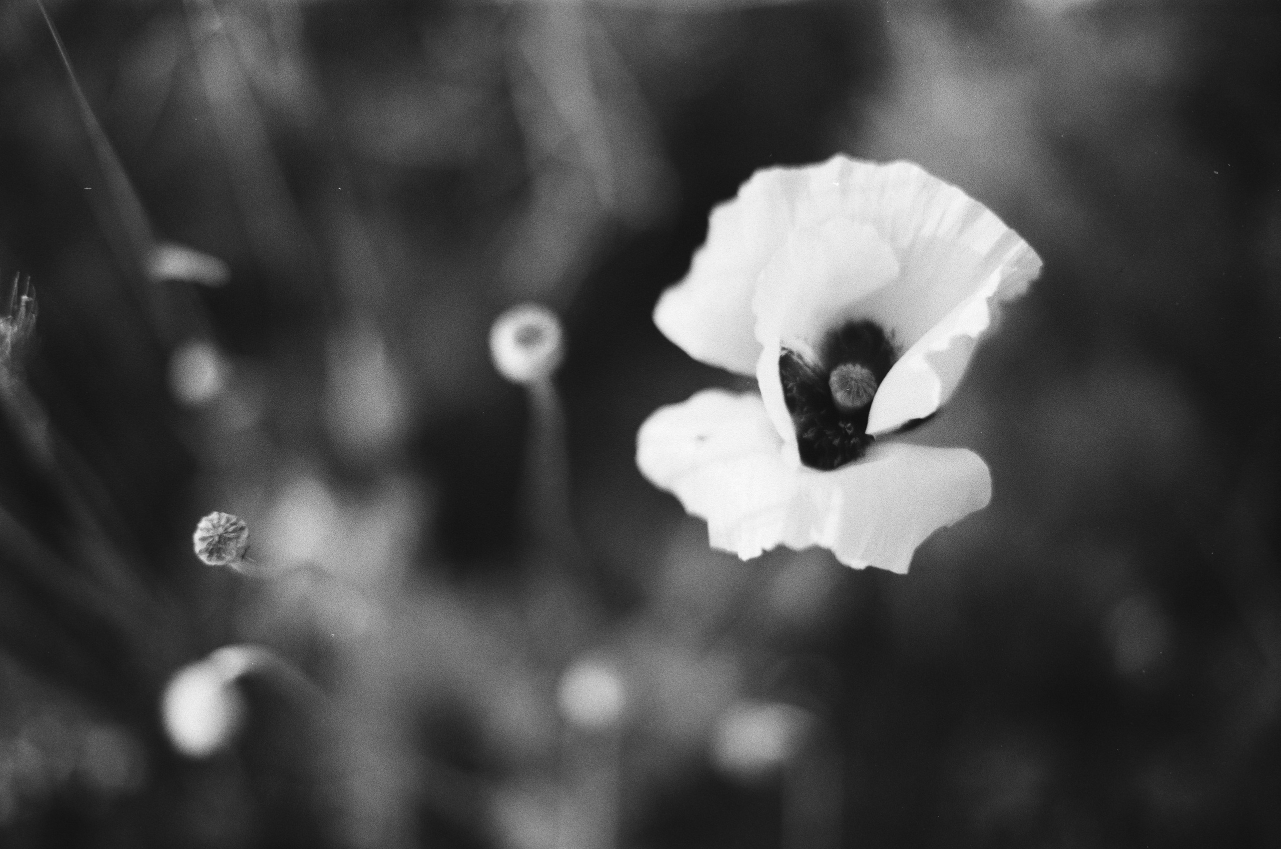 Move me // ukraine, crimea II. EVER EXPOSED