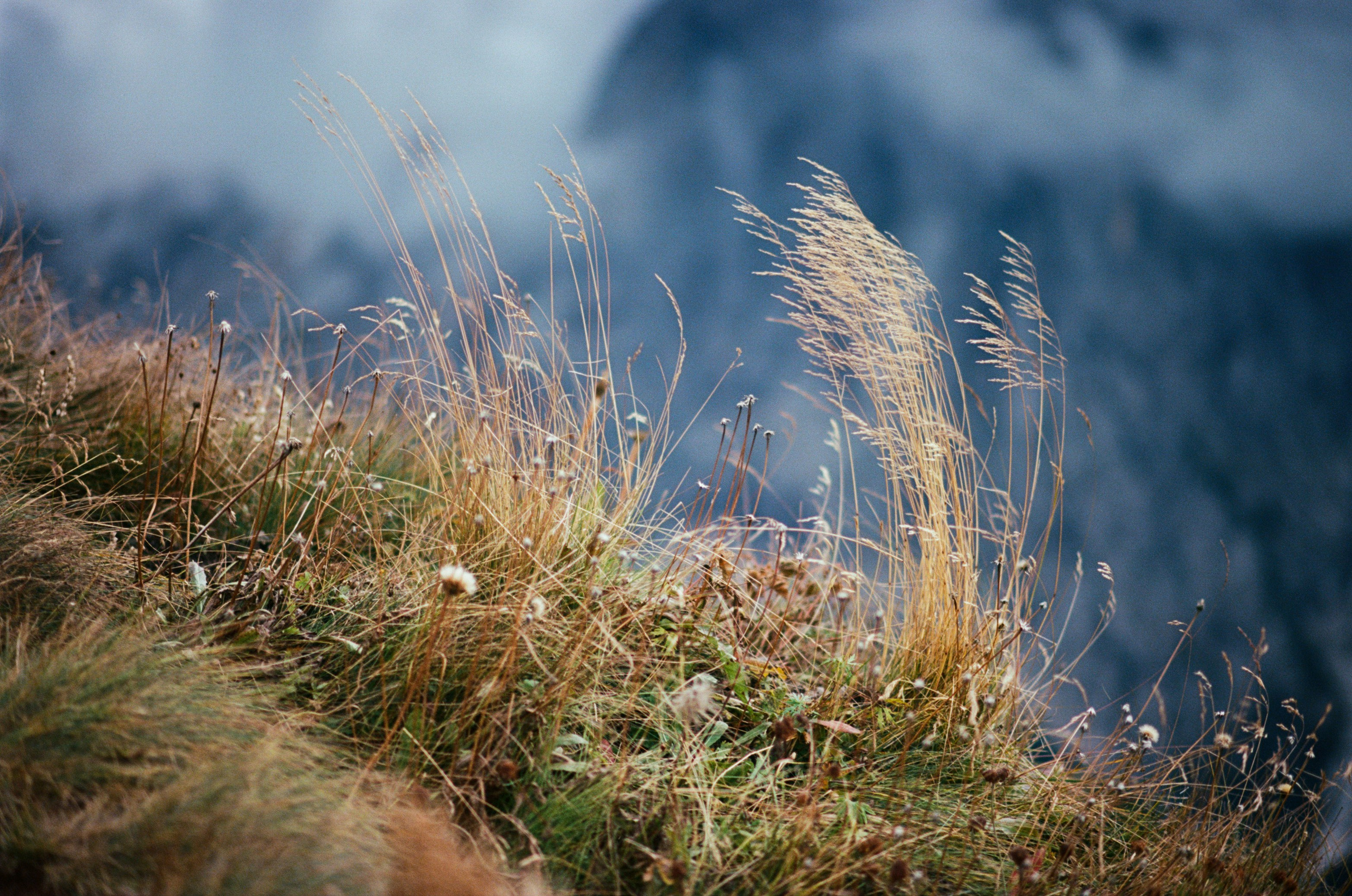 Fear for nobody // italy, dolomites. EVER EXPOSED