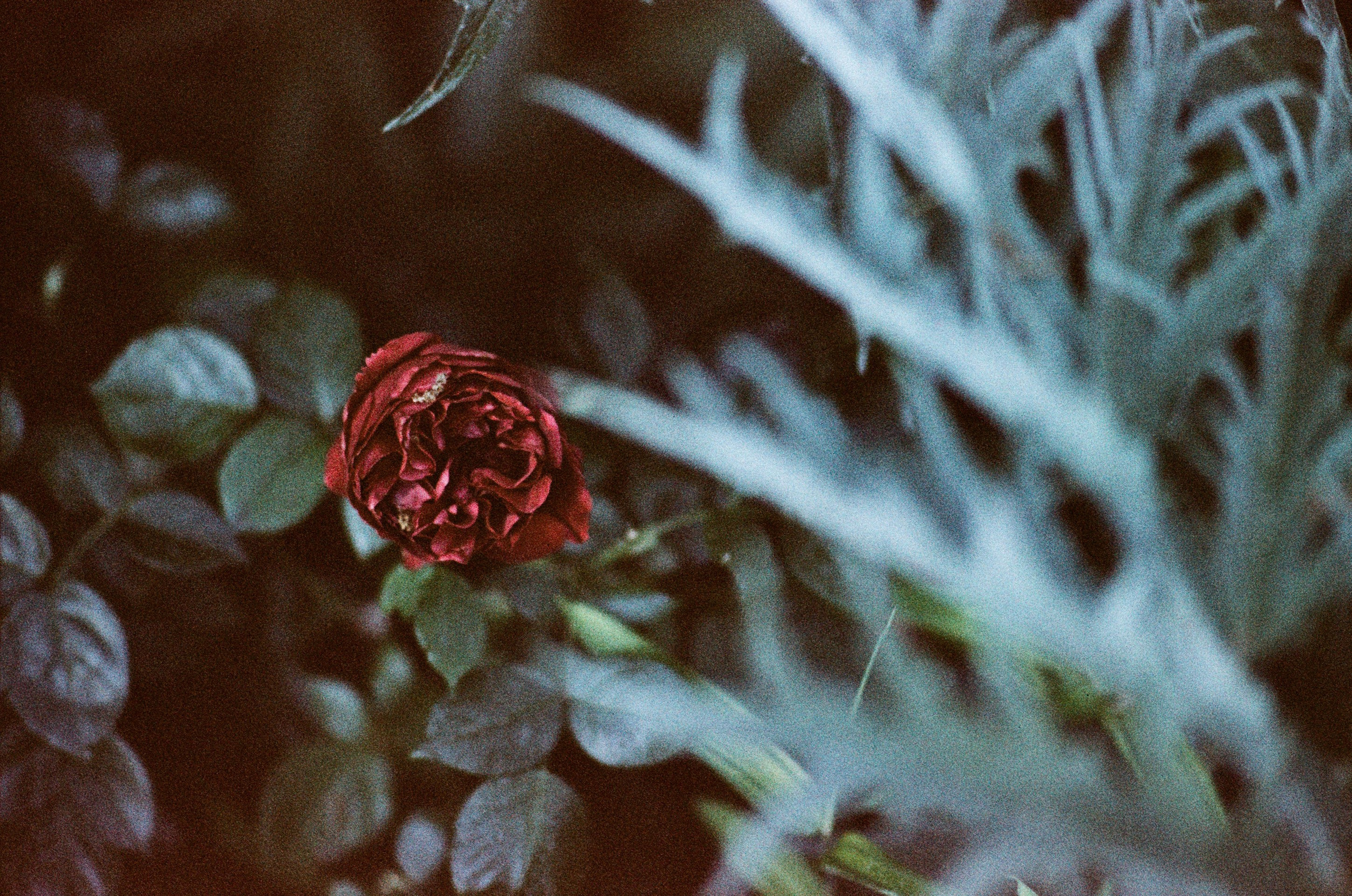 Pain shopping // ukraine, crimea. EVER EXPOSED