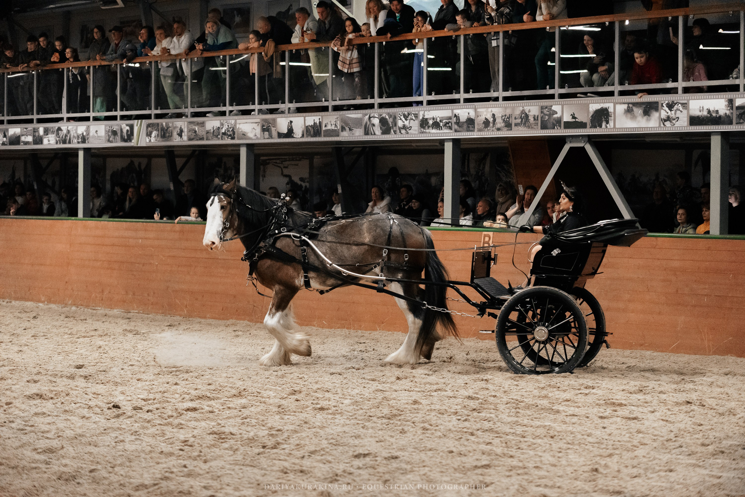 Конное представление «Дыхание Звёзд». Конный фотограф Куракина Дарья • Фотосессии с лошадьми