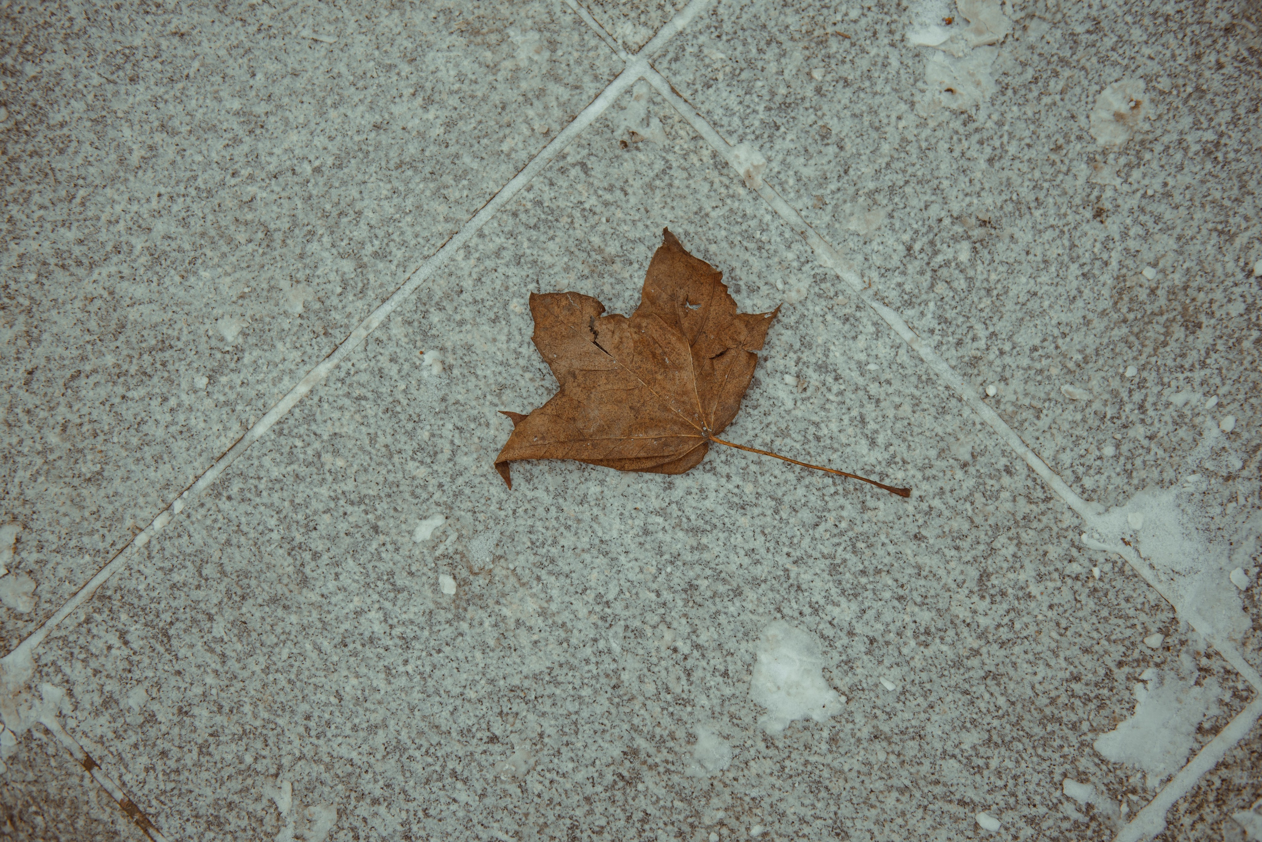 Большой московский цирк. Портретный и архитектурный фотограф в Москве и Санкт-Петербурге