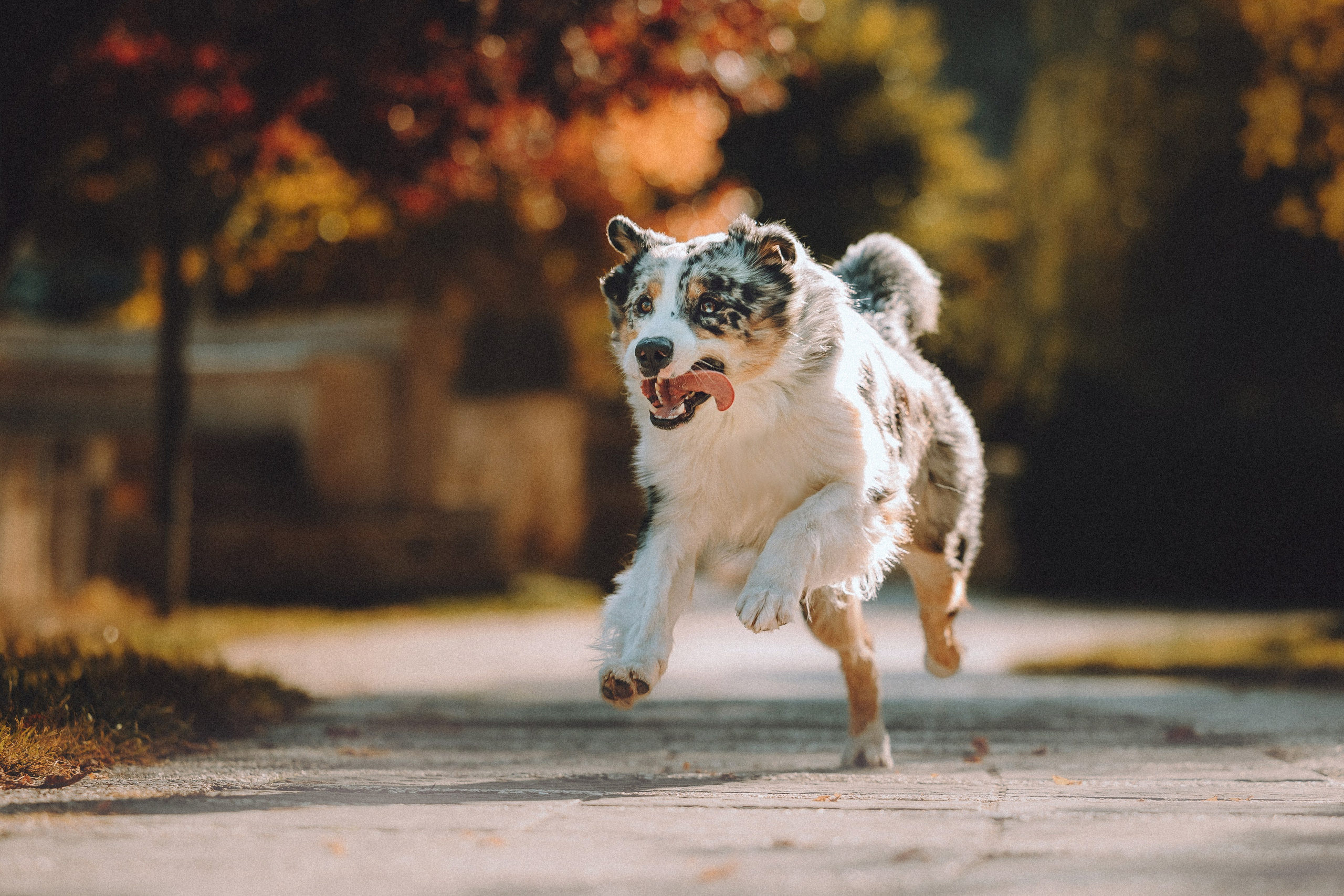 Саша, Рома и Один