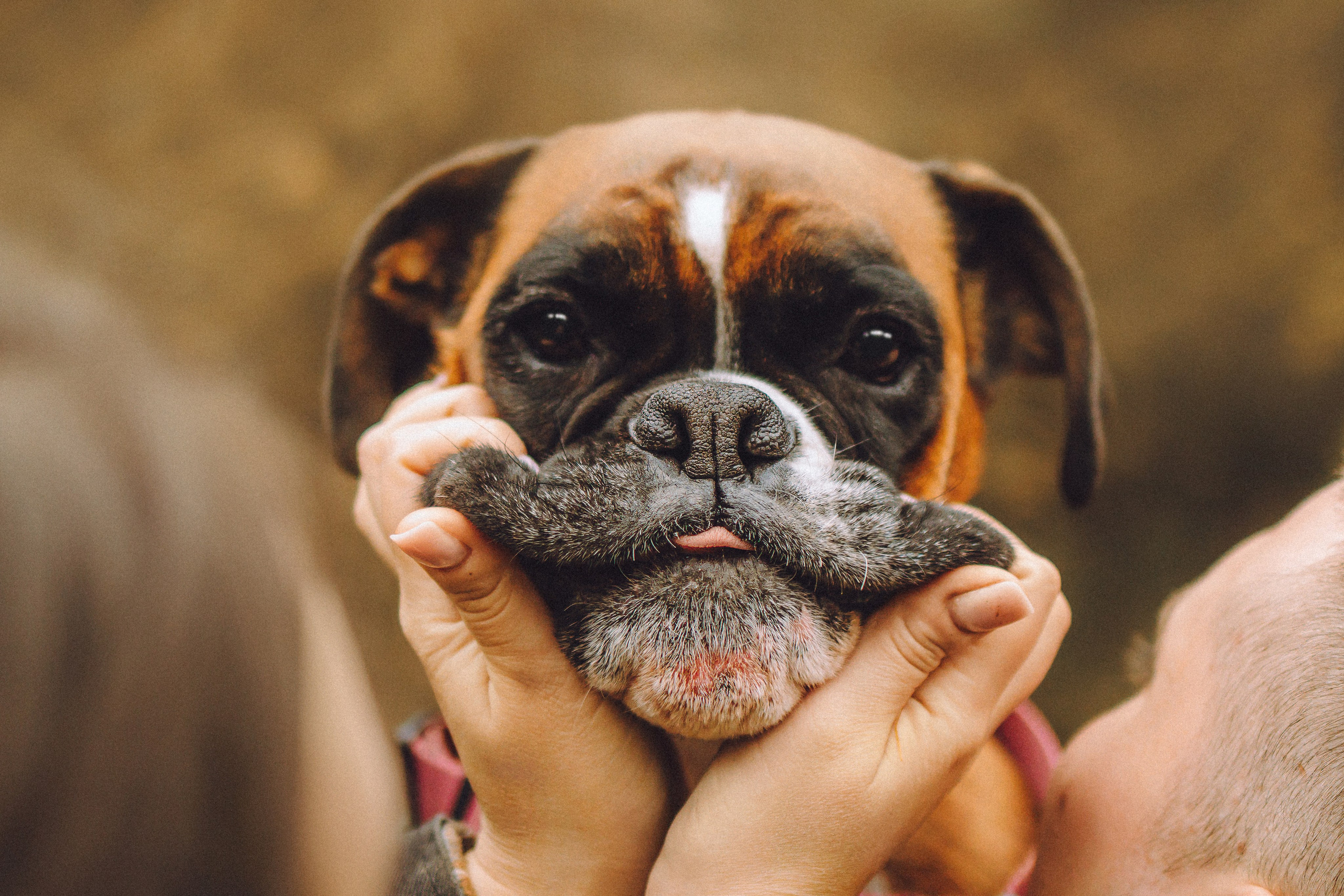 Элли и ее семья