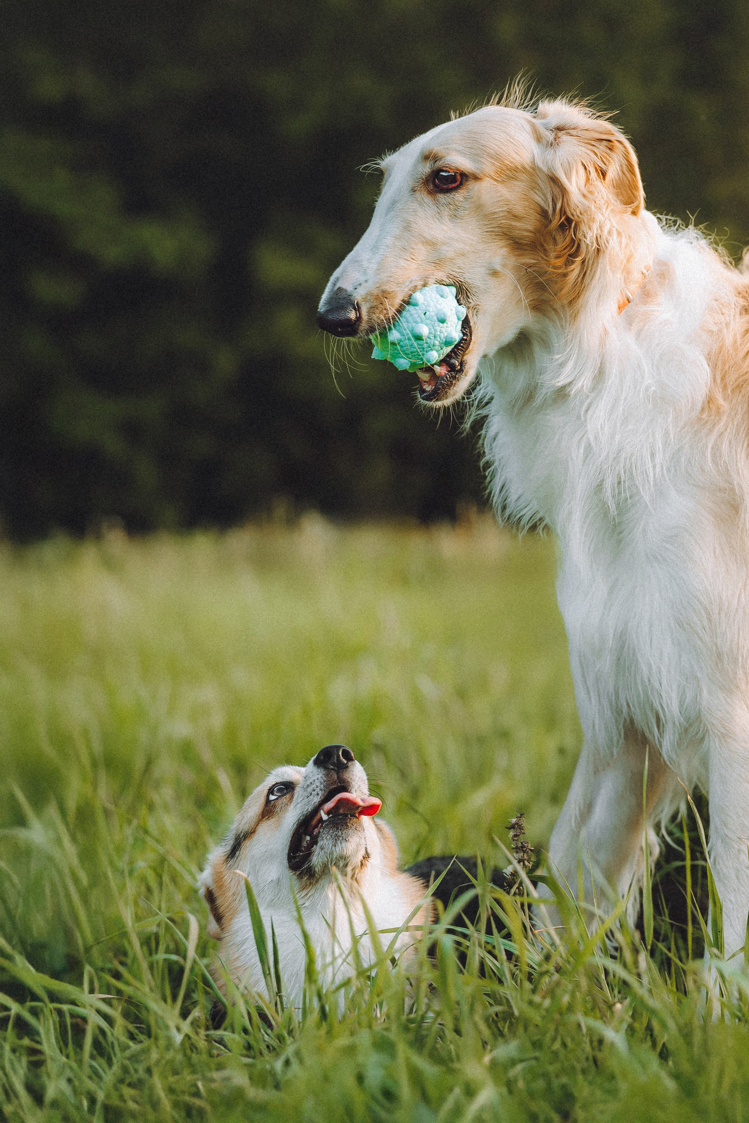 Илай, Зайка и их семья