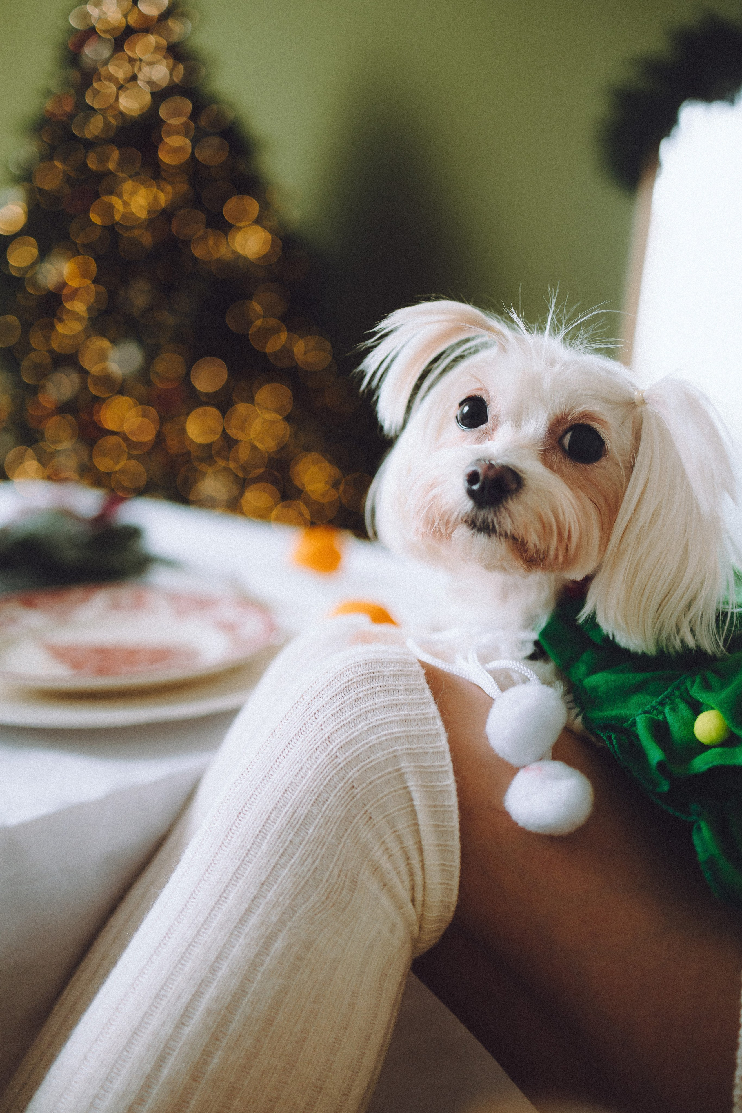 Констанция и Молли