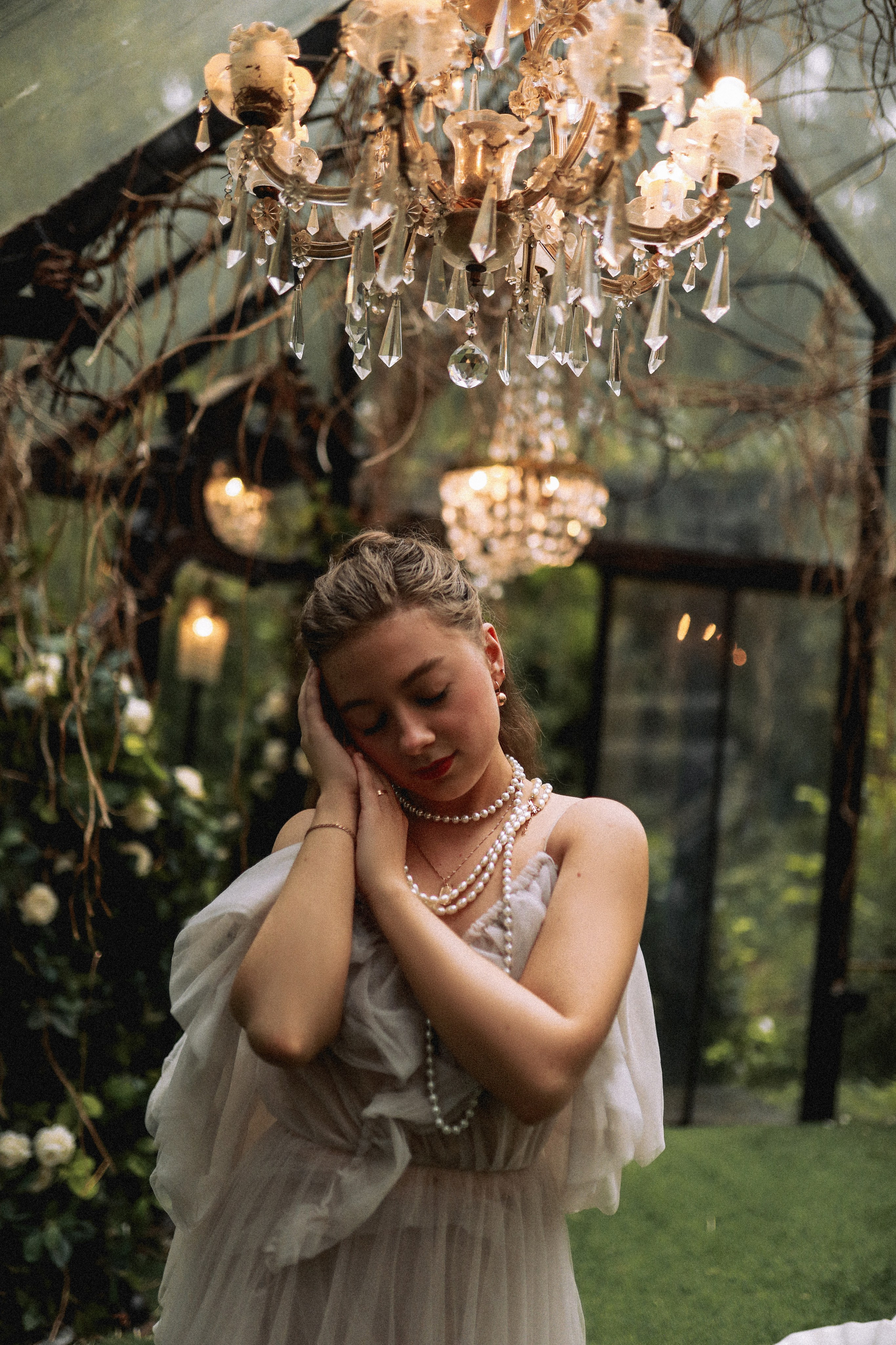 Зачарованный лес