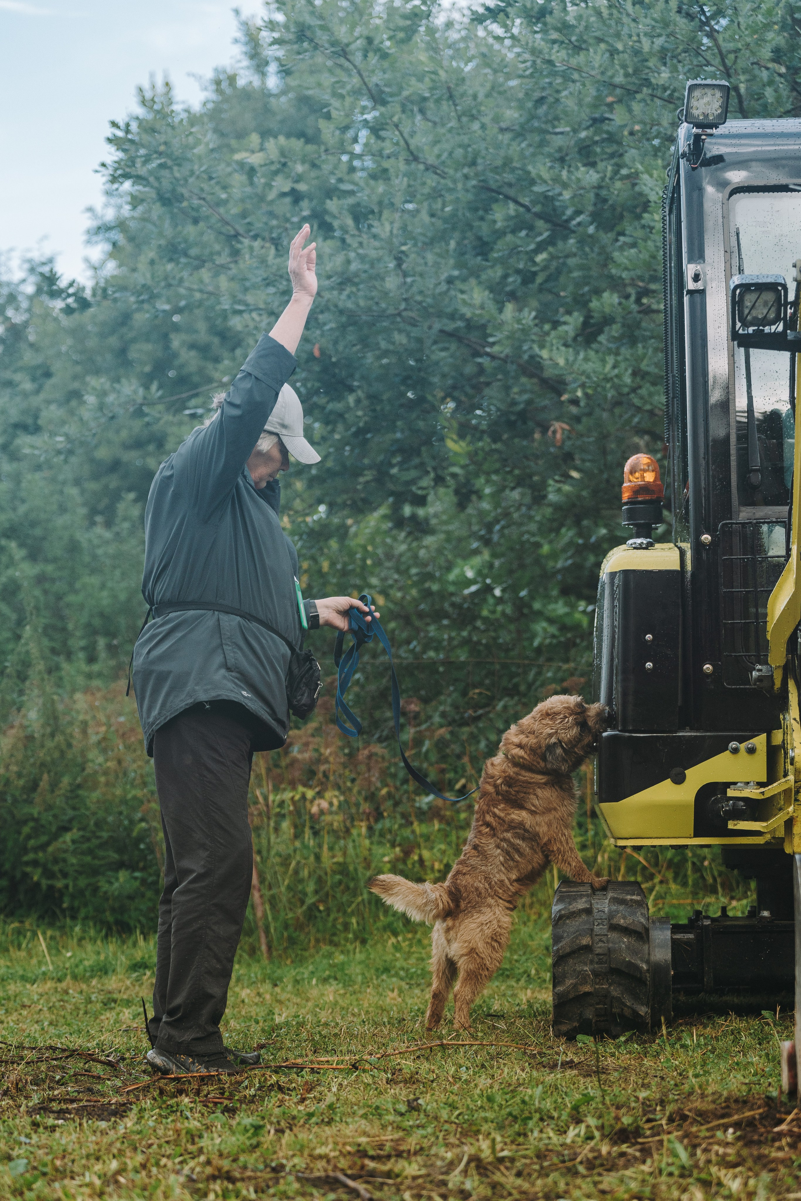 Соревнования по ноузворку в Новожилово. Фотограф анималист в Спб недорого Олеся Майорова