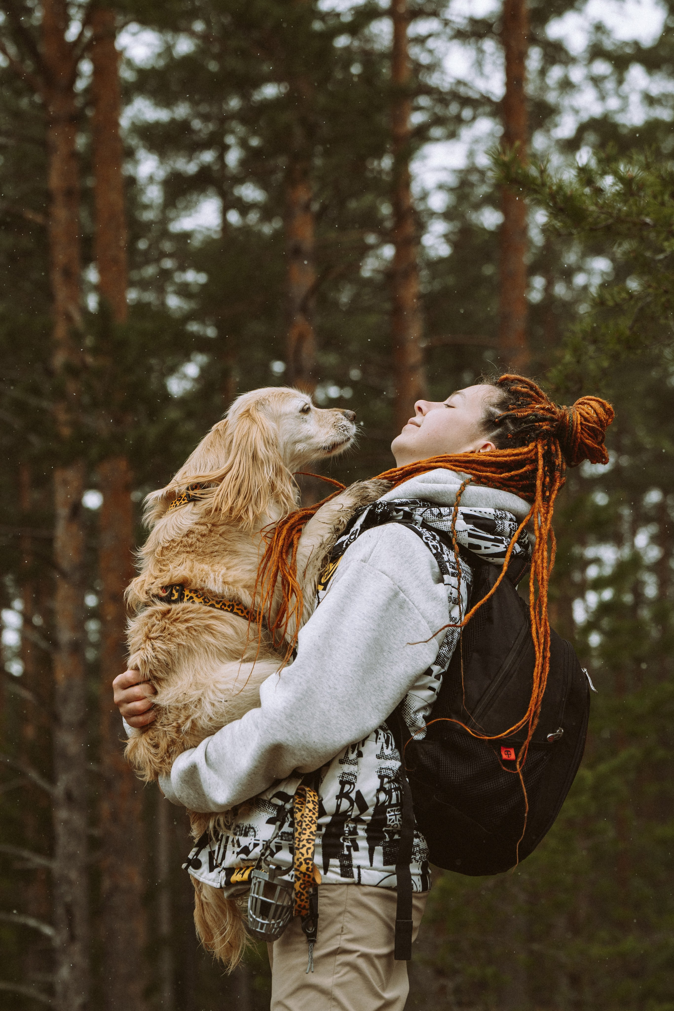 Дог трекинг к финскому хутору. Фотограф анималист в Спб недорого Олеся Майорова