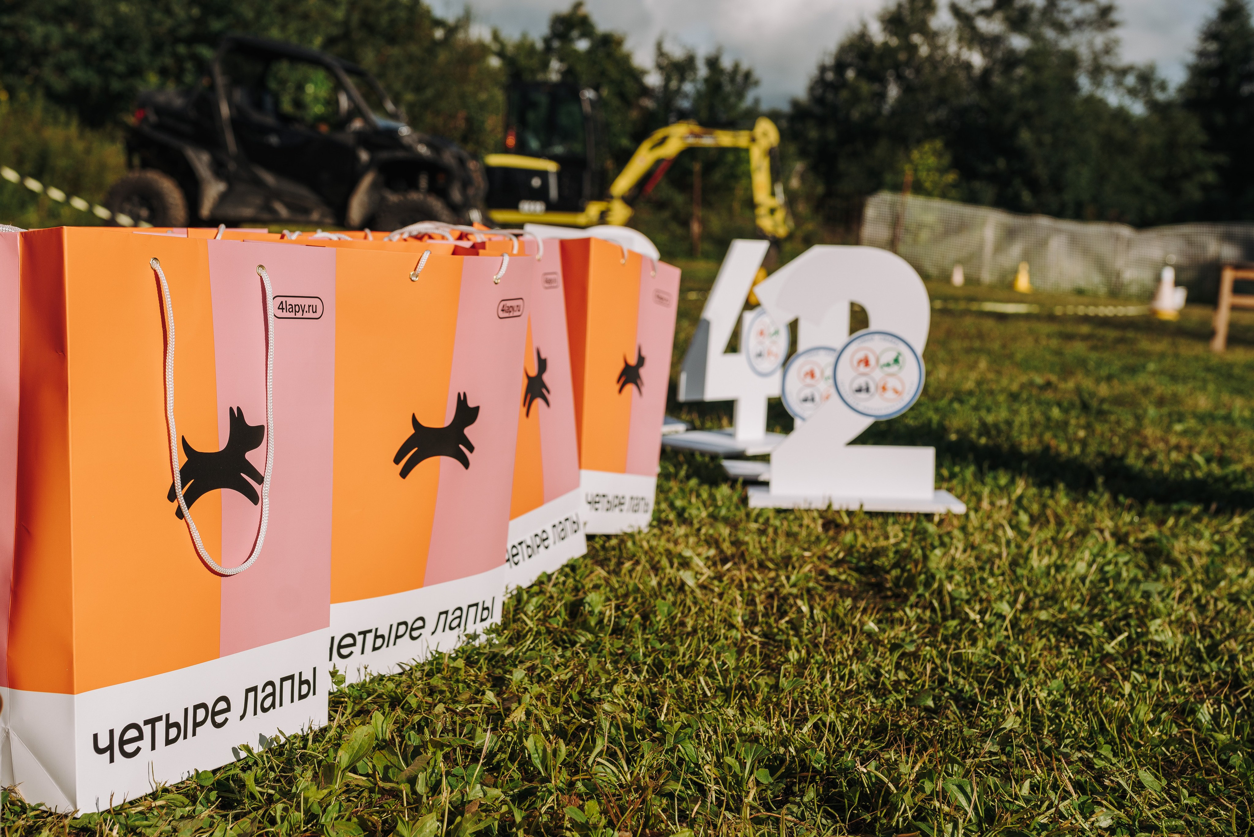 Соревнования по ноузворку в Новожилово. Фотограф анималист в Спб недорого Олеся Майорова