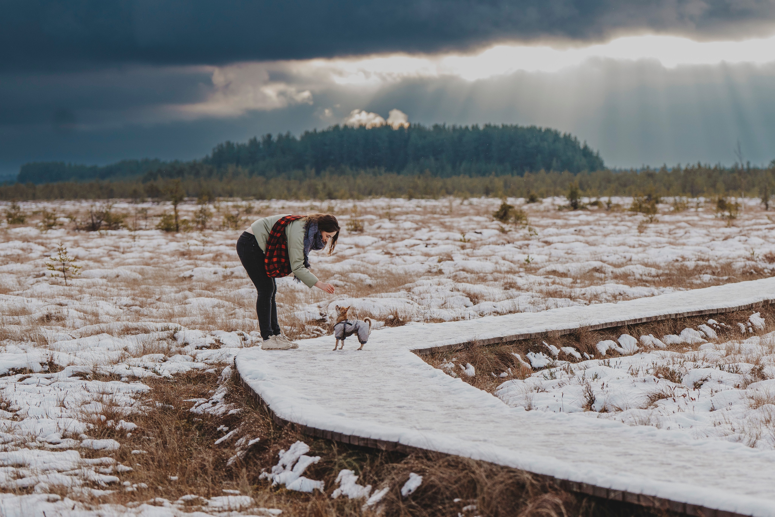 Наталия и Боря. Фотограф анималист в Спб недорого Олеся Майорова