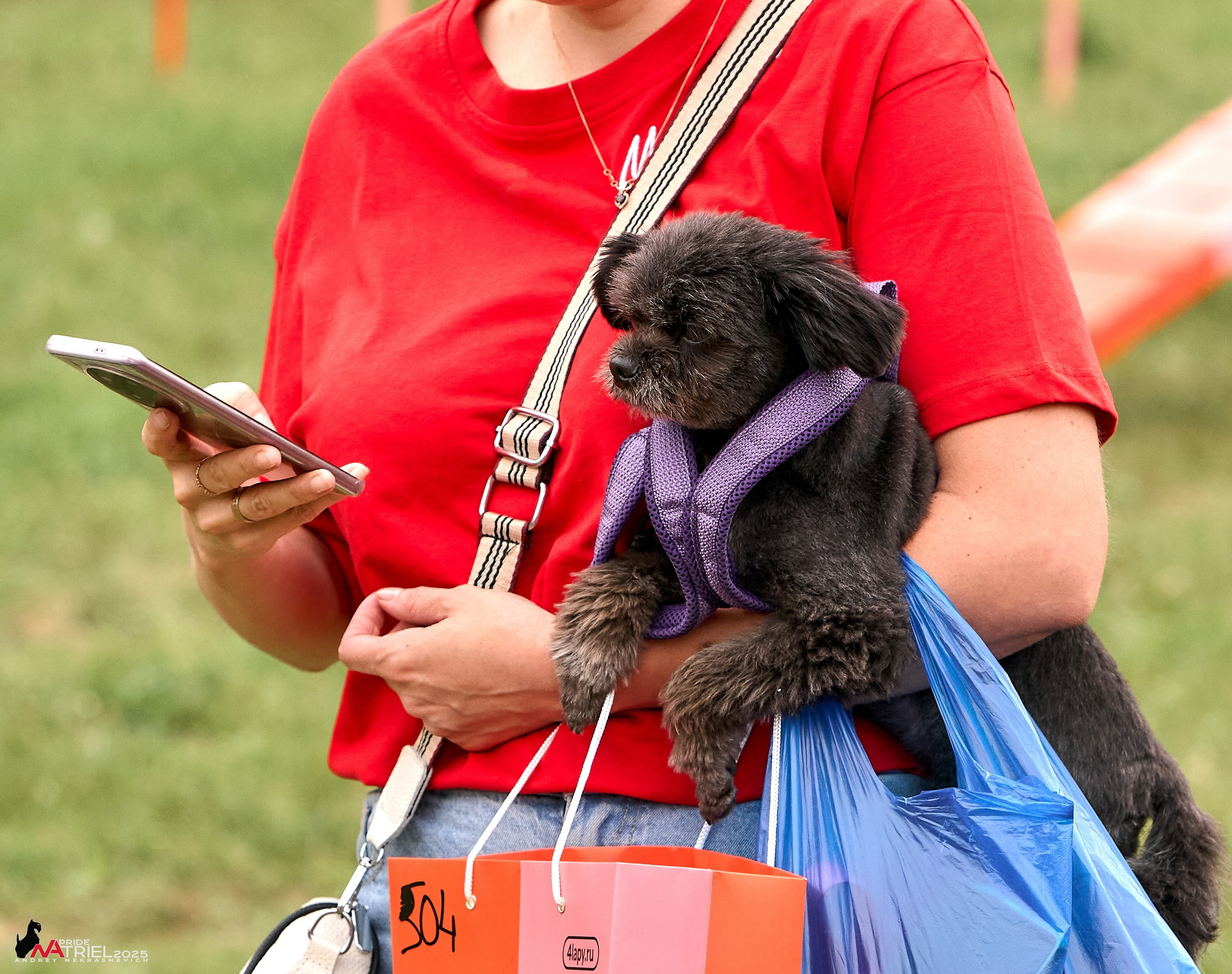 Russian Extreme Dog Trail — 2025