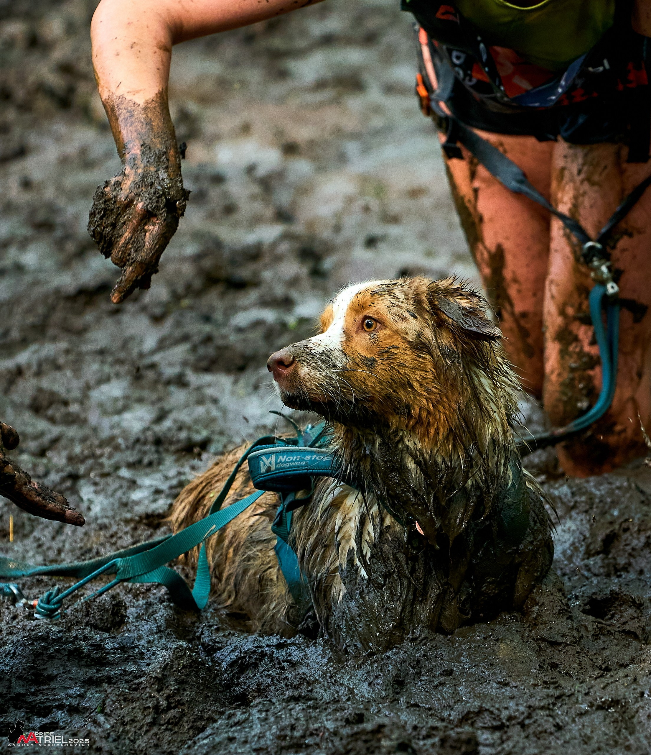 Russian Extreme Dog Trail — 2025