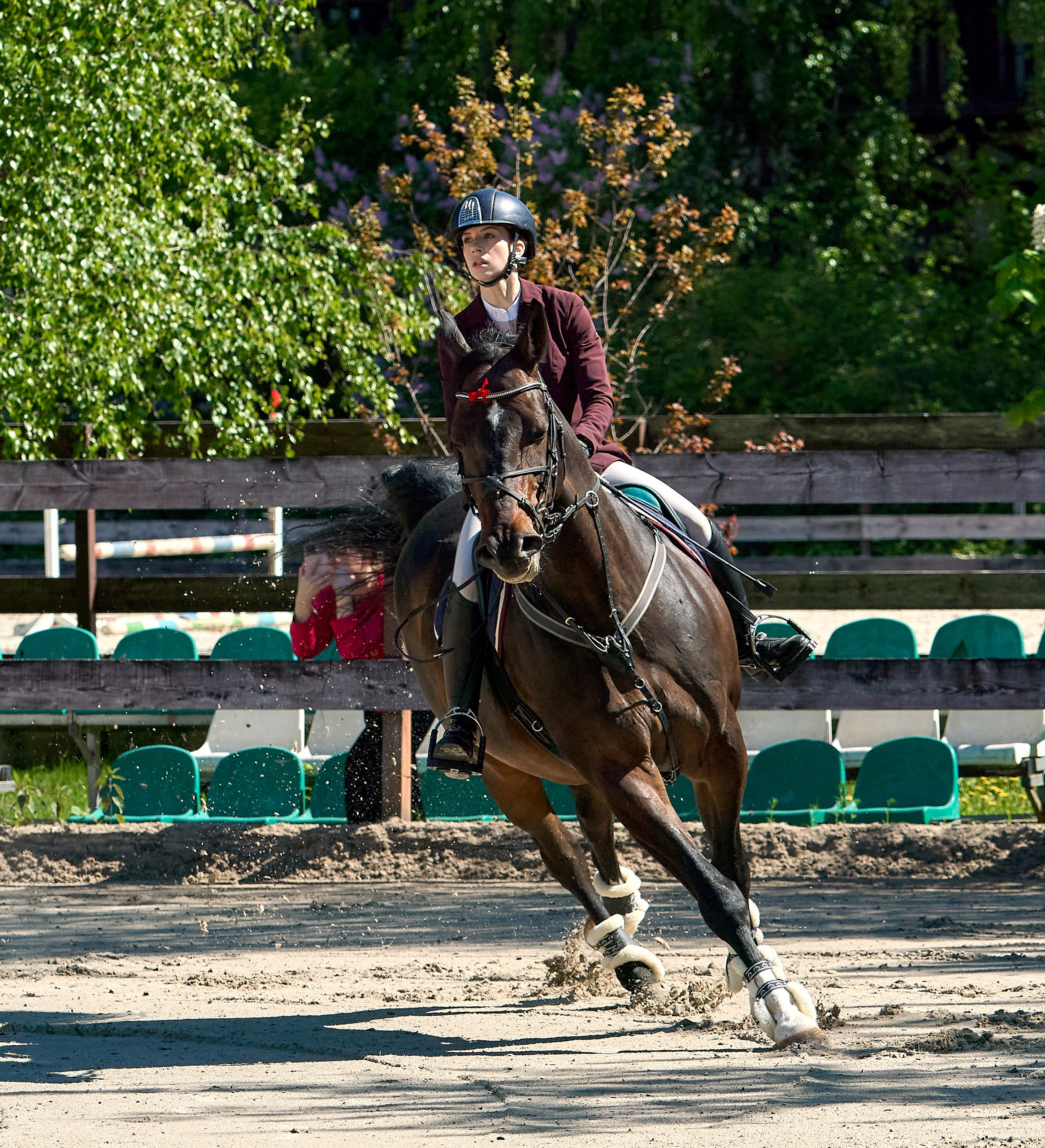 Соревнования на лошадях — галерея NATRIEL