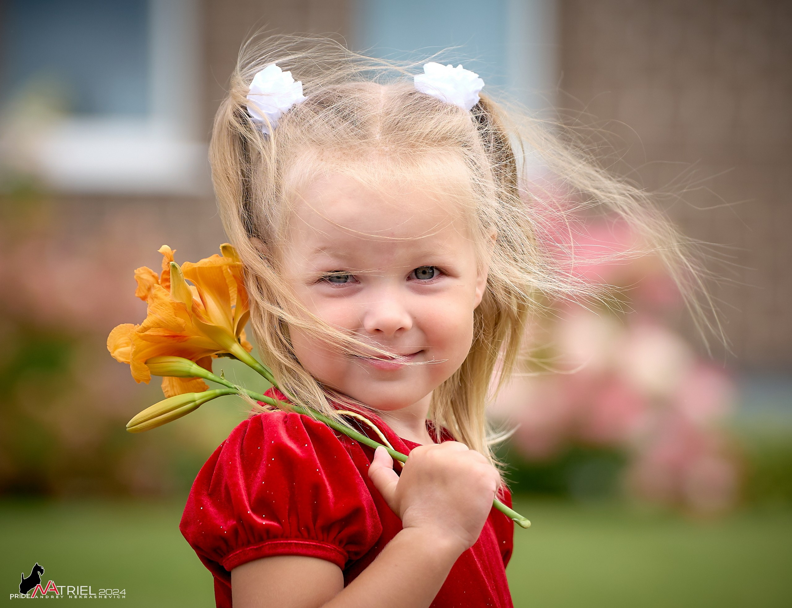 Скотчесемья «ИмпериалИти»