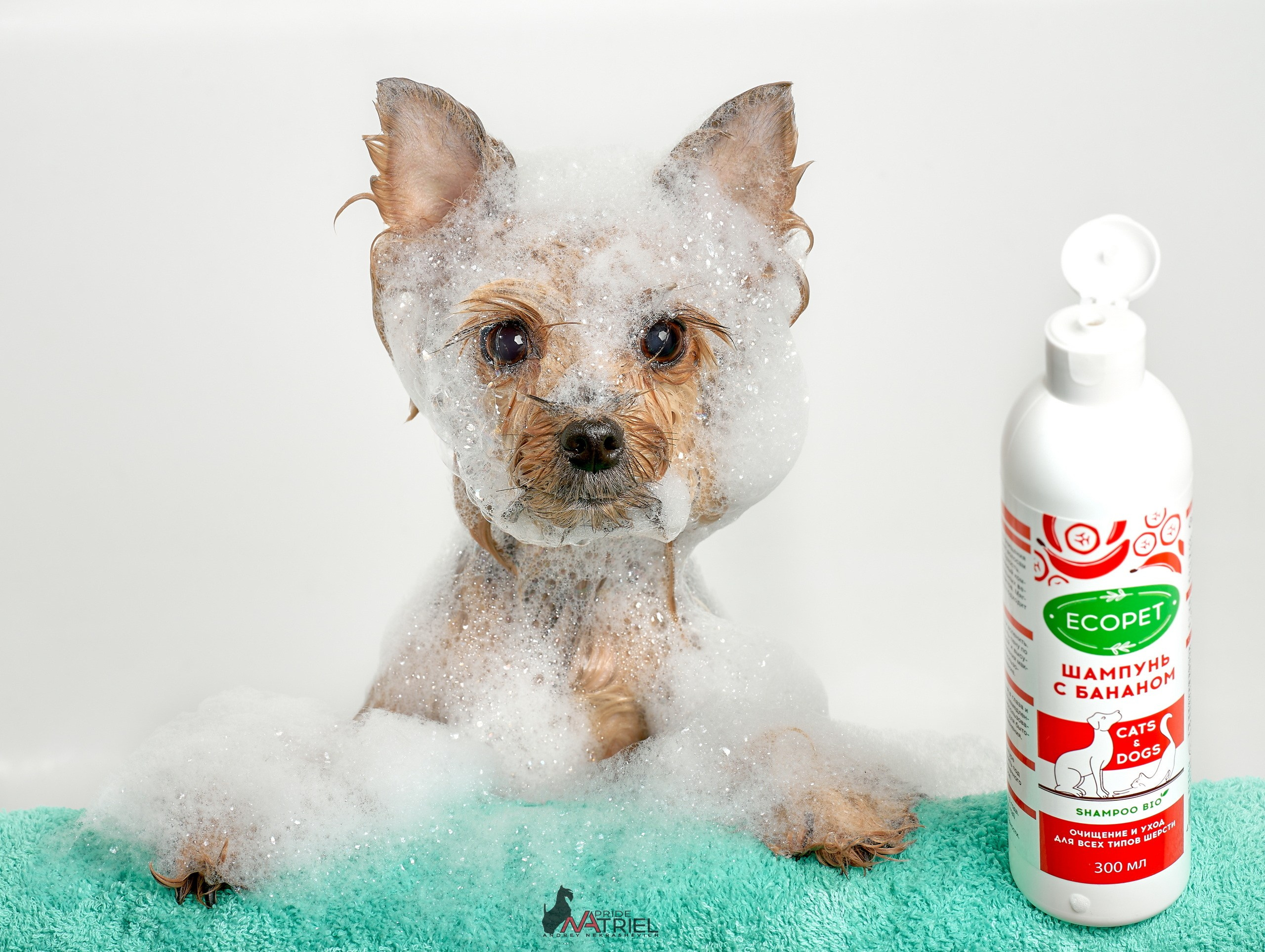 Реклама с животными — галерея NATRIEL
