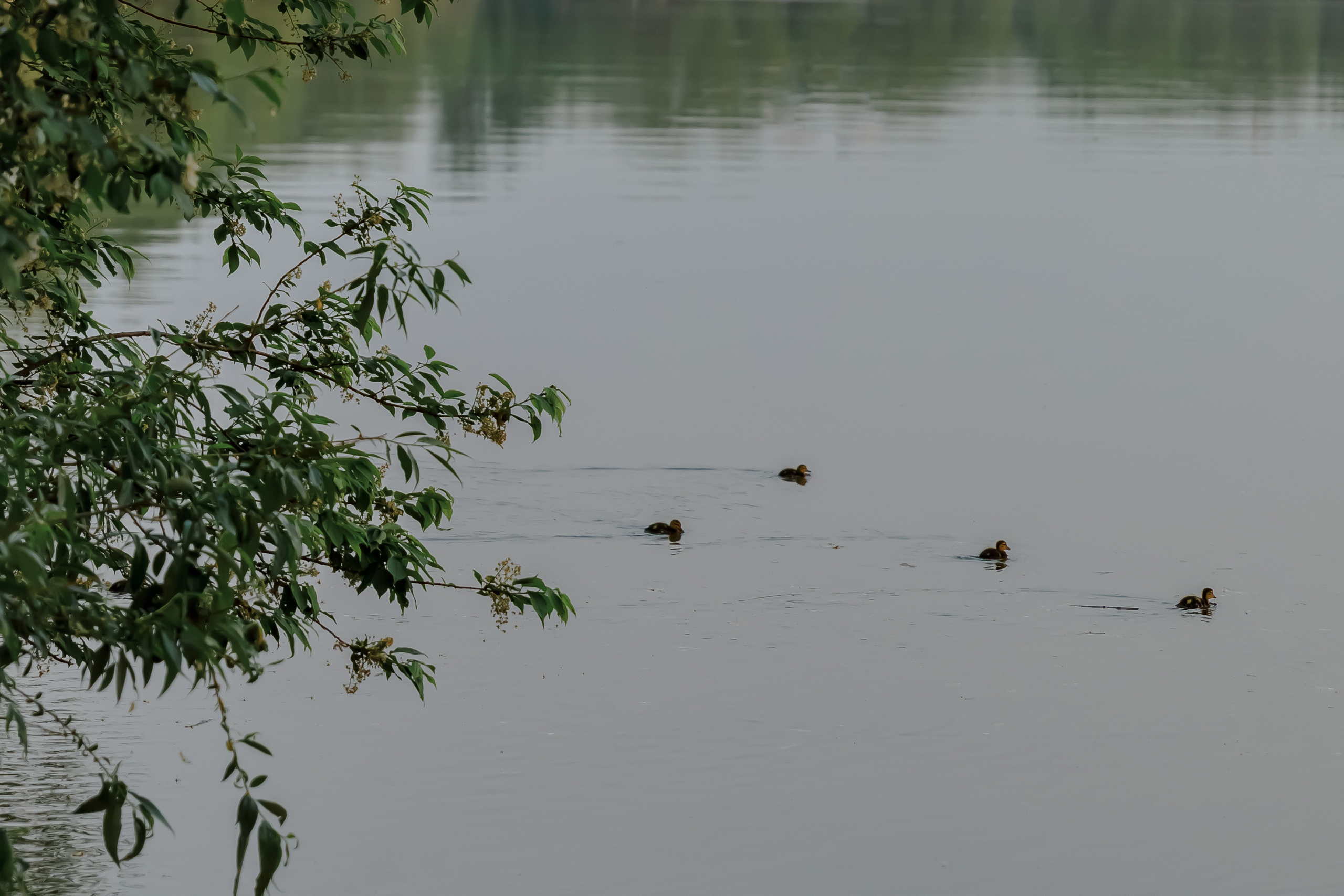 Ксения и Алиса. Фотограф  Челябинск Варвара Шарапова
