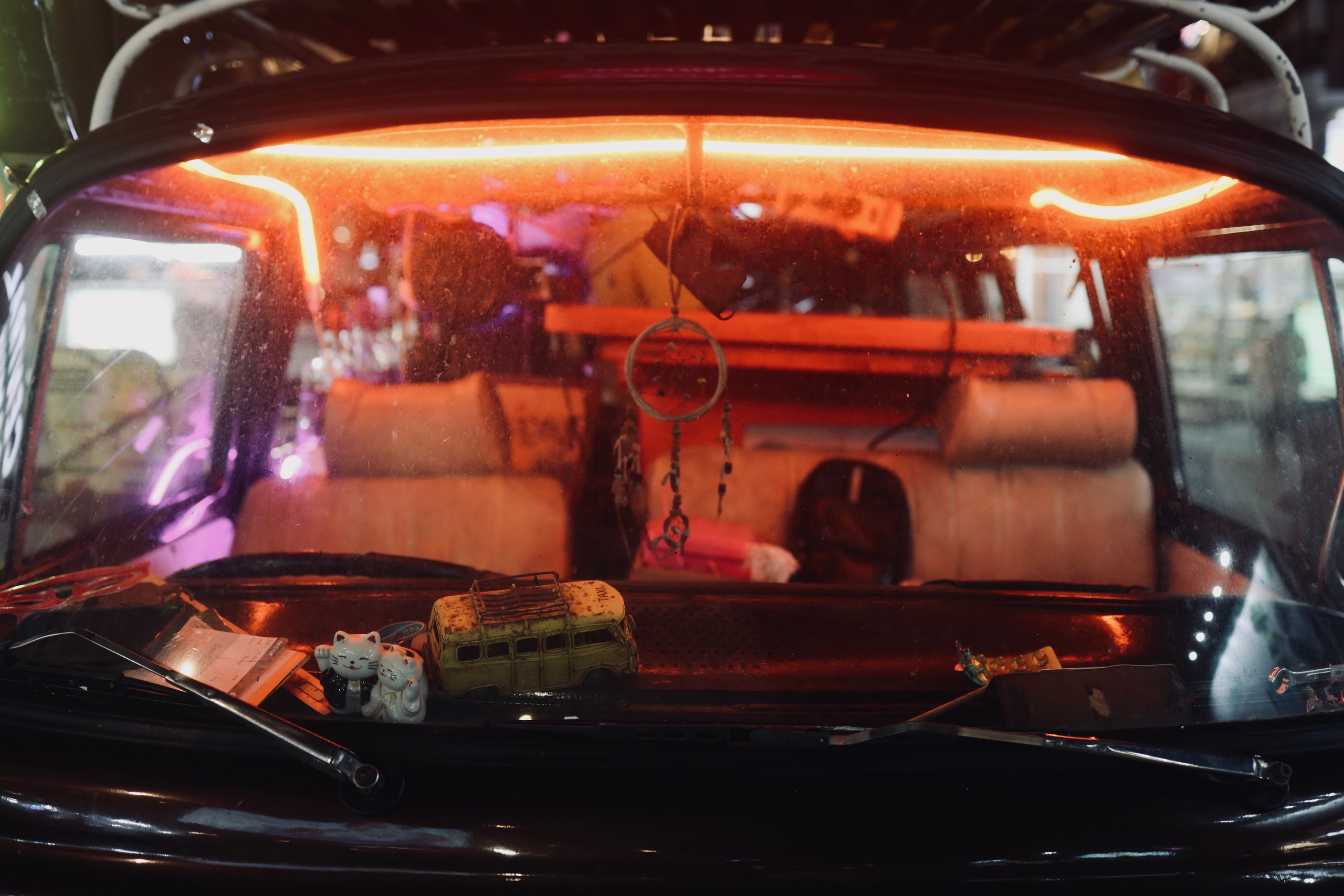 Night inhabitants of Samui Island / Thailand 2024. POLINA MÔMOT