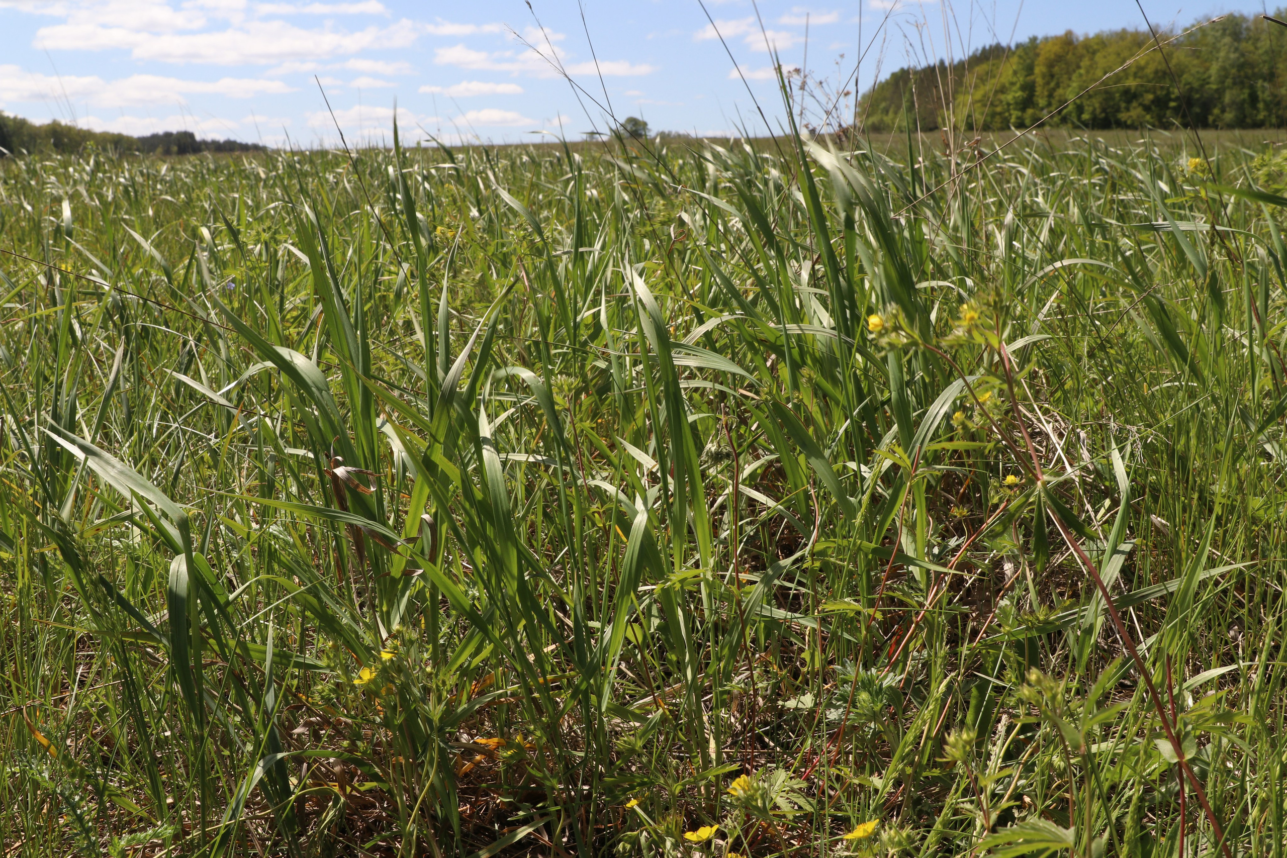 Велопоход Уфа — Мелеуз. Май 2024. Путешественник-фотограф из Санкт-Петербурга Татьяна Свистулина