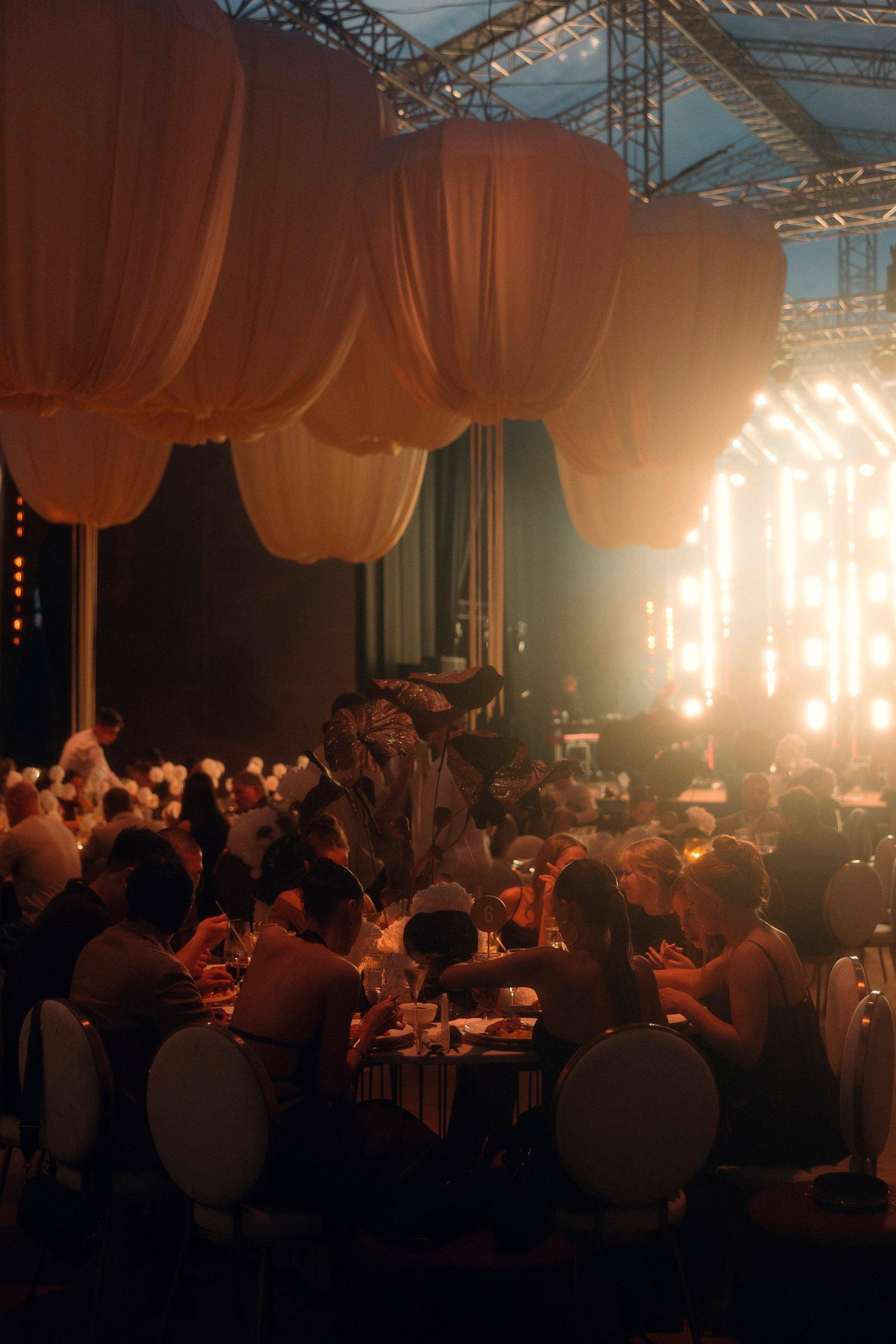 LITVINS. Свадебный фотограф в Москве Александр Рыжков