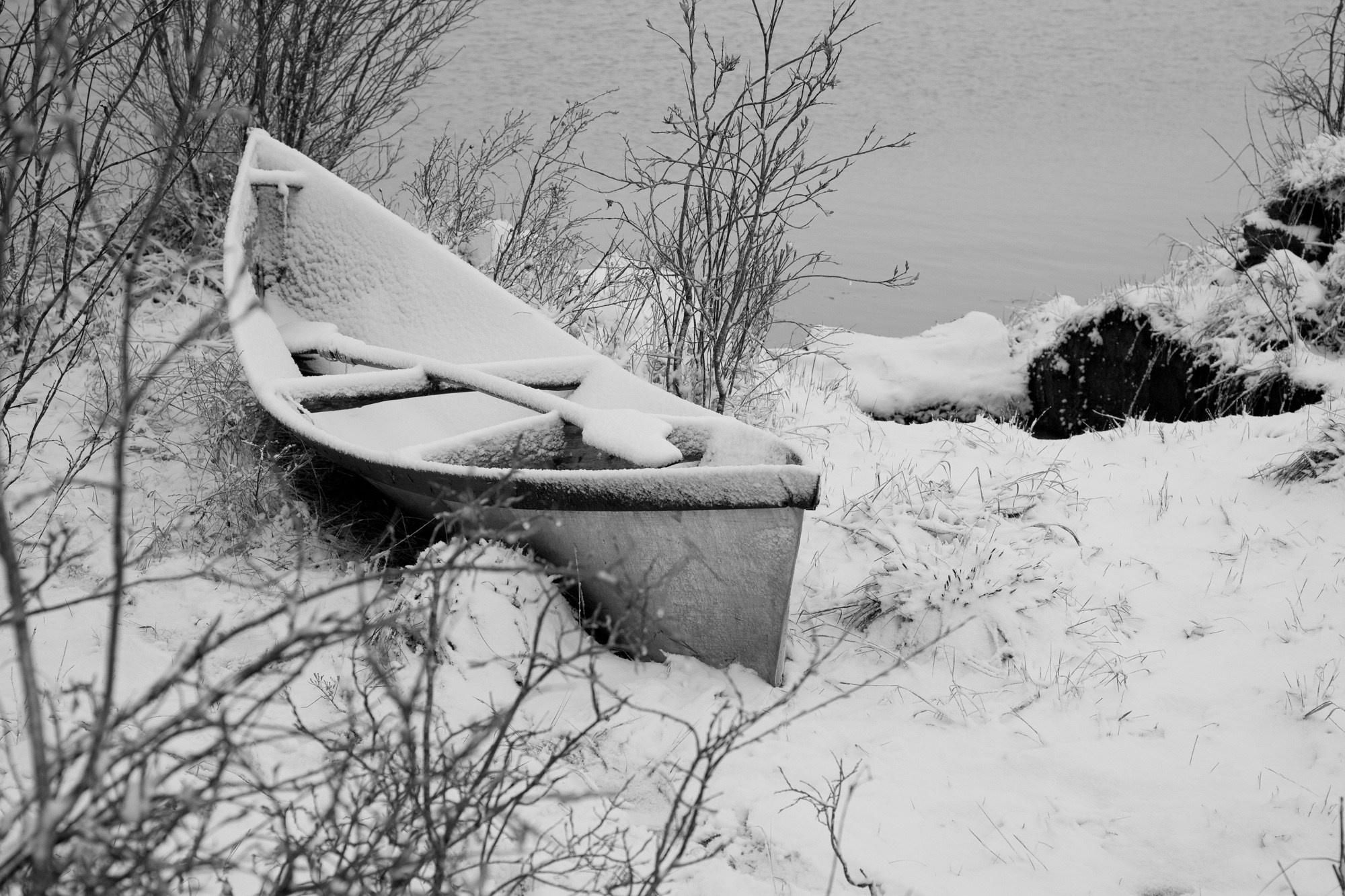 Фотограф Алексей Скоробогатько