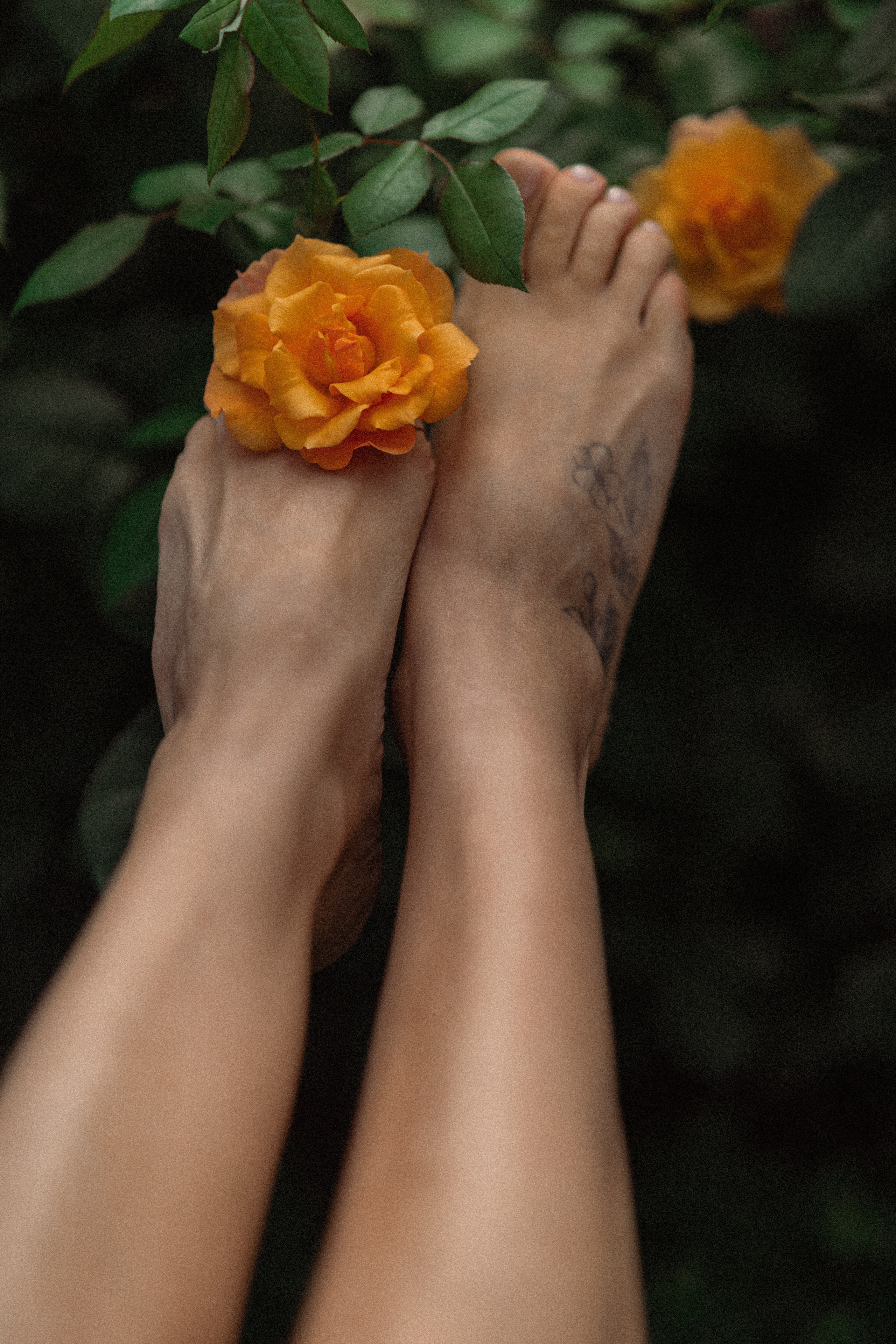 Парк. Фотограф Мария Зайчик