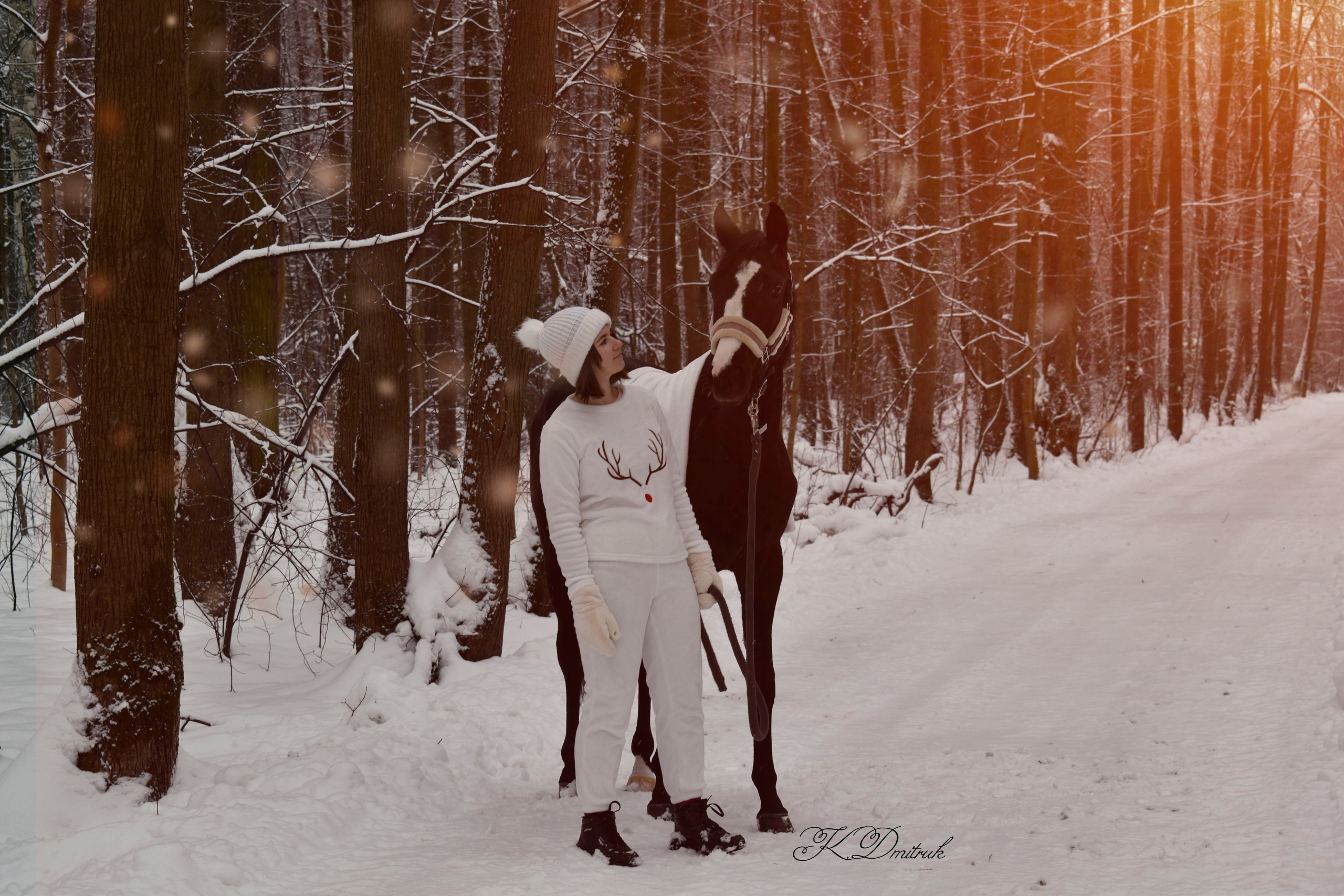 Настя. Зимний сон. Конный фотограф Москва