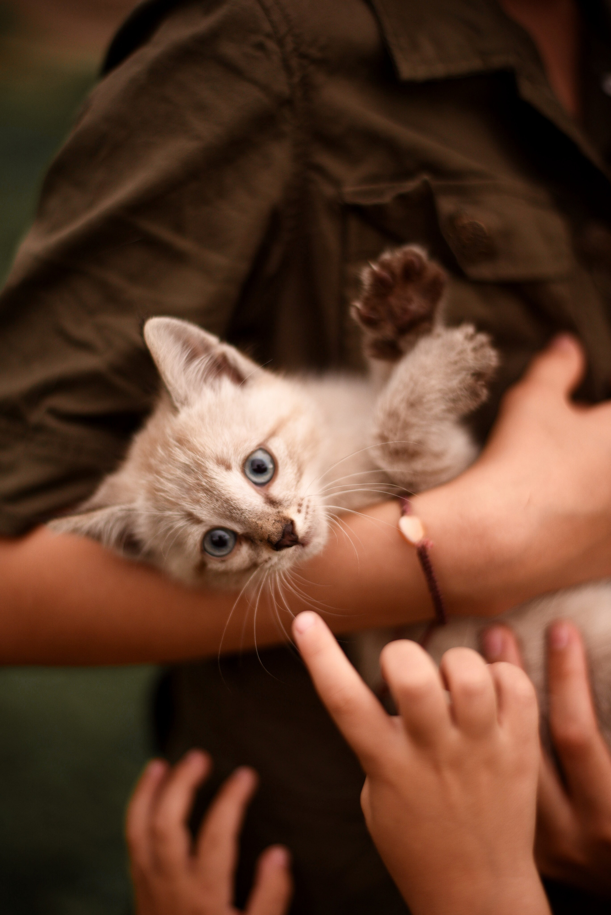 Дачные зарисовки. Приподаева Алёна семейный и детский фотограф в Красноярске