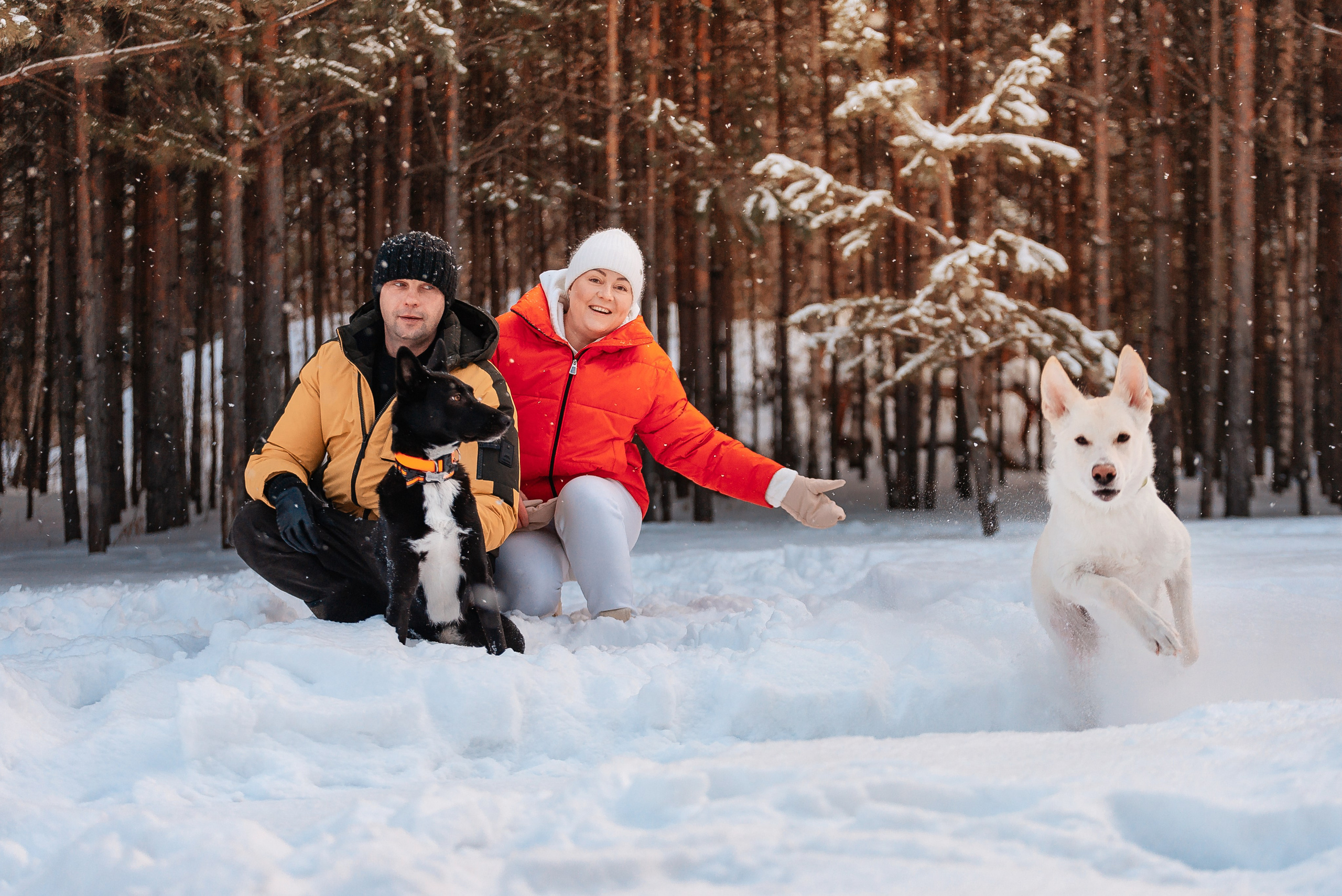 Татьяна, Михаил, Шелли и Лаки. Фотограф-анималист Анастасия Парфенова|Екатеринбург