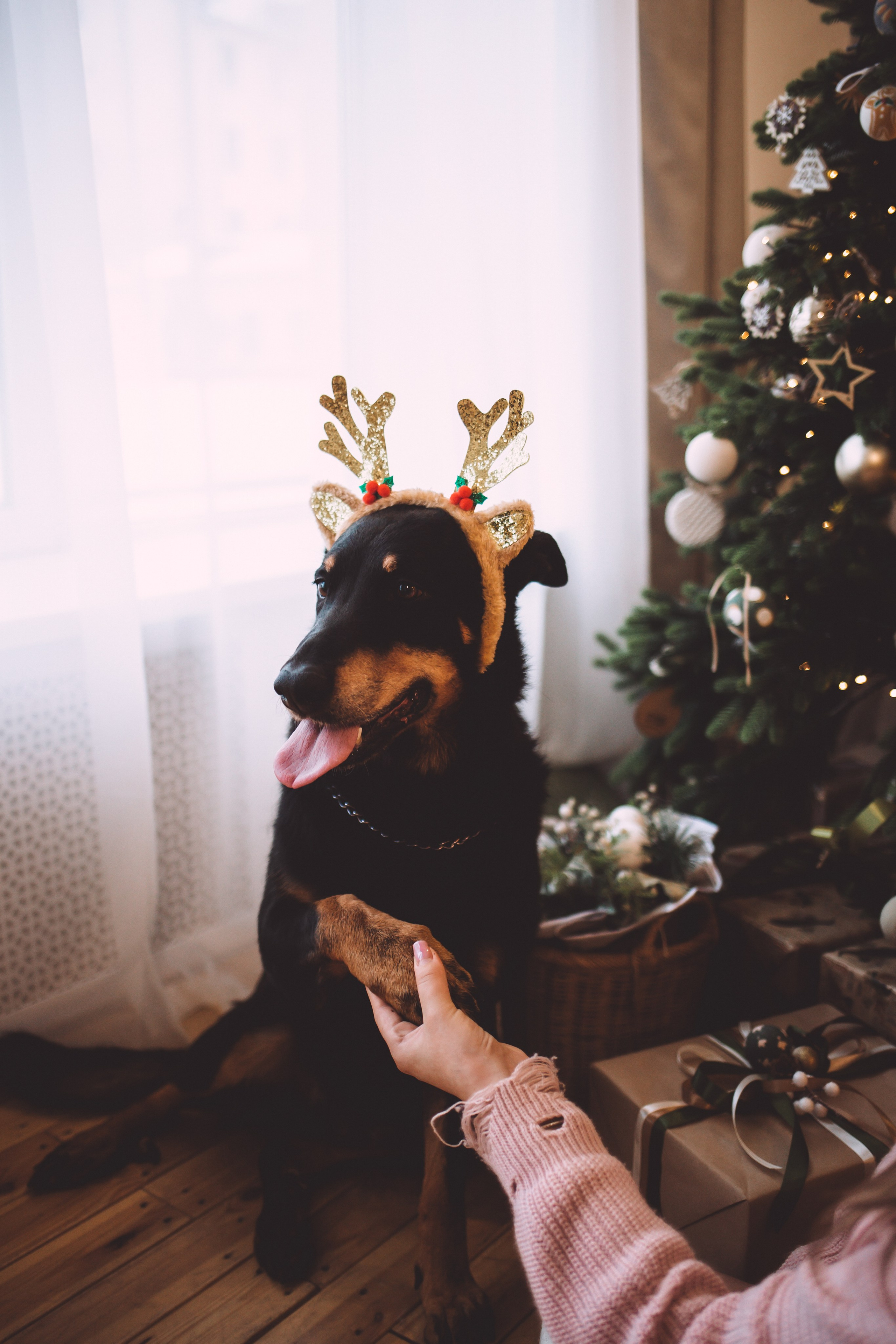 Антон & Полина. Анна Михайлова|Свадебный фотограф в Санкт-Петербурге