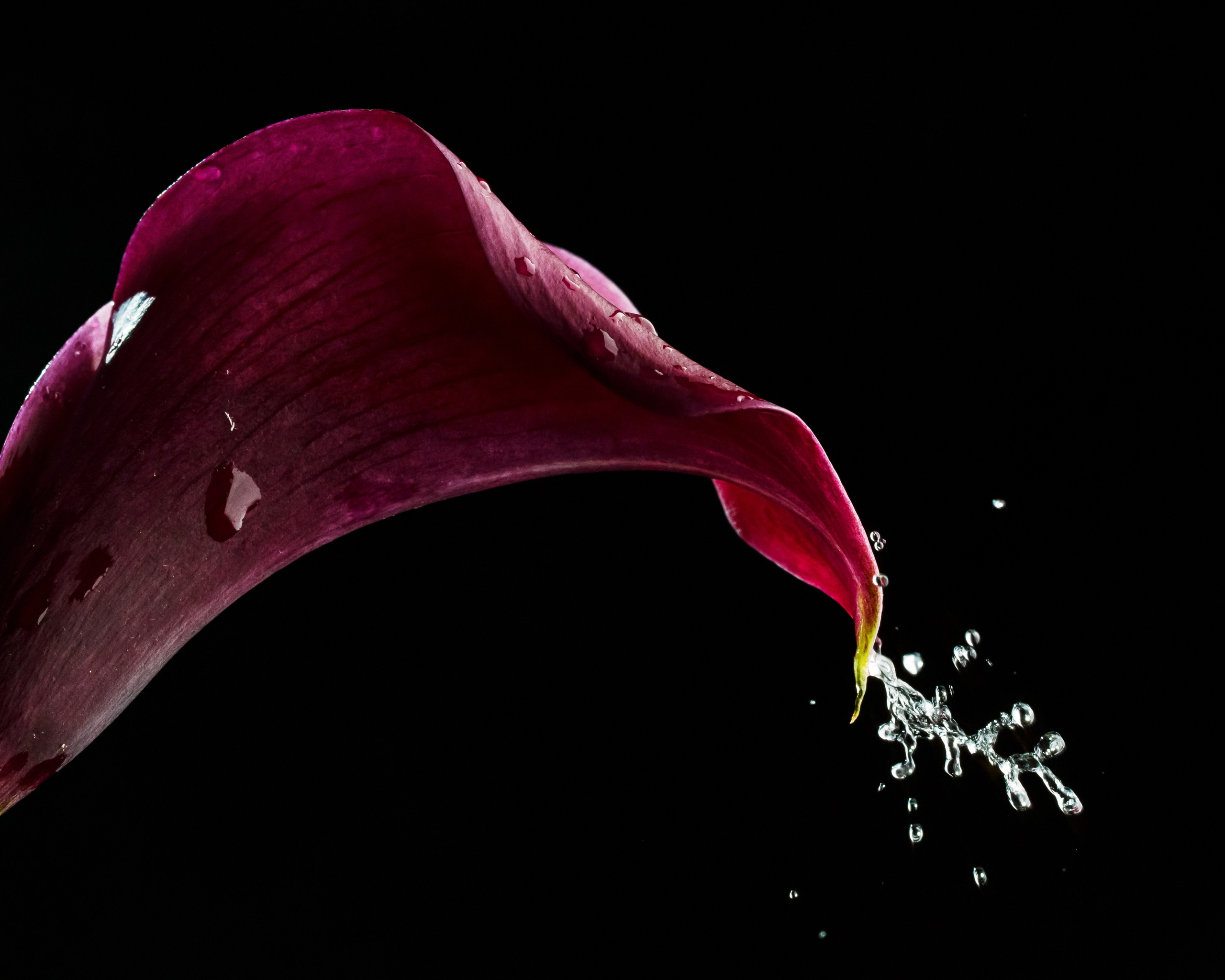 Фото еды Саратов. Рестораны и кафе Саратова. Фотограф Сергей Сорокин — классический портрет и НЮ в Саратове