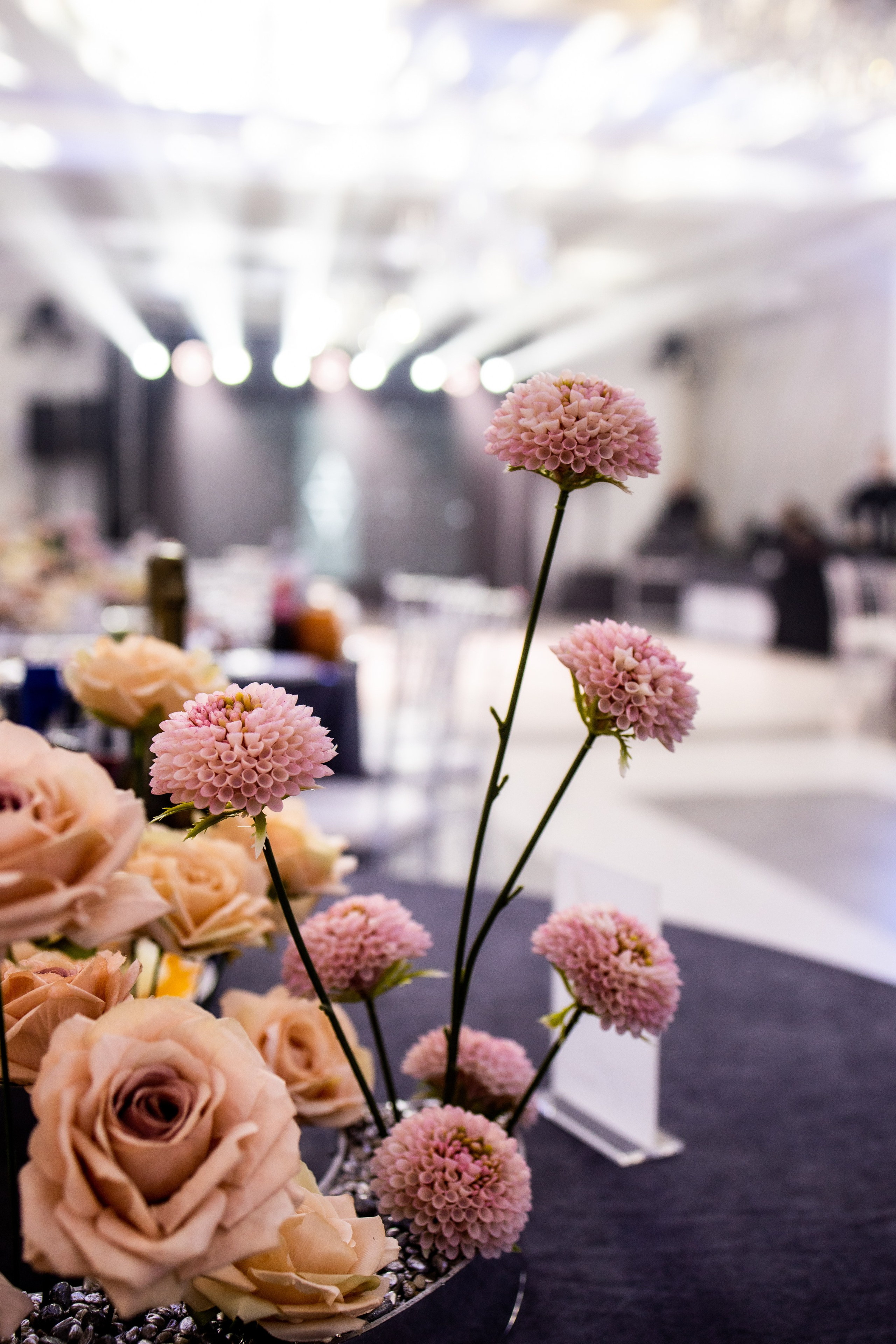 Артем и Вероника — Торжество. Фотограф Надежда Лукьянова