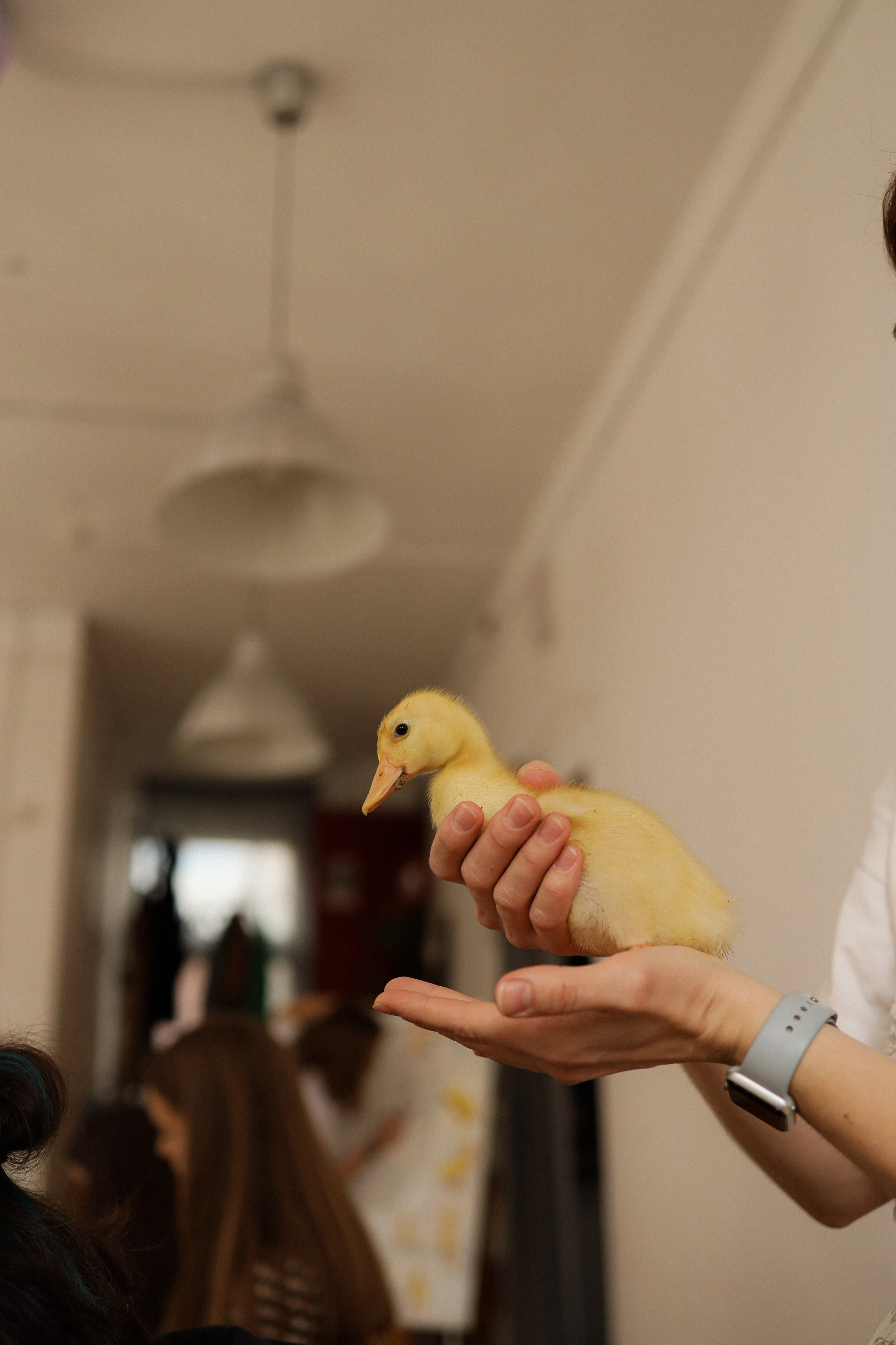 Мк Акварель (рисуем с натуры). Анастасия Ракчеева Художник