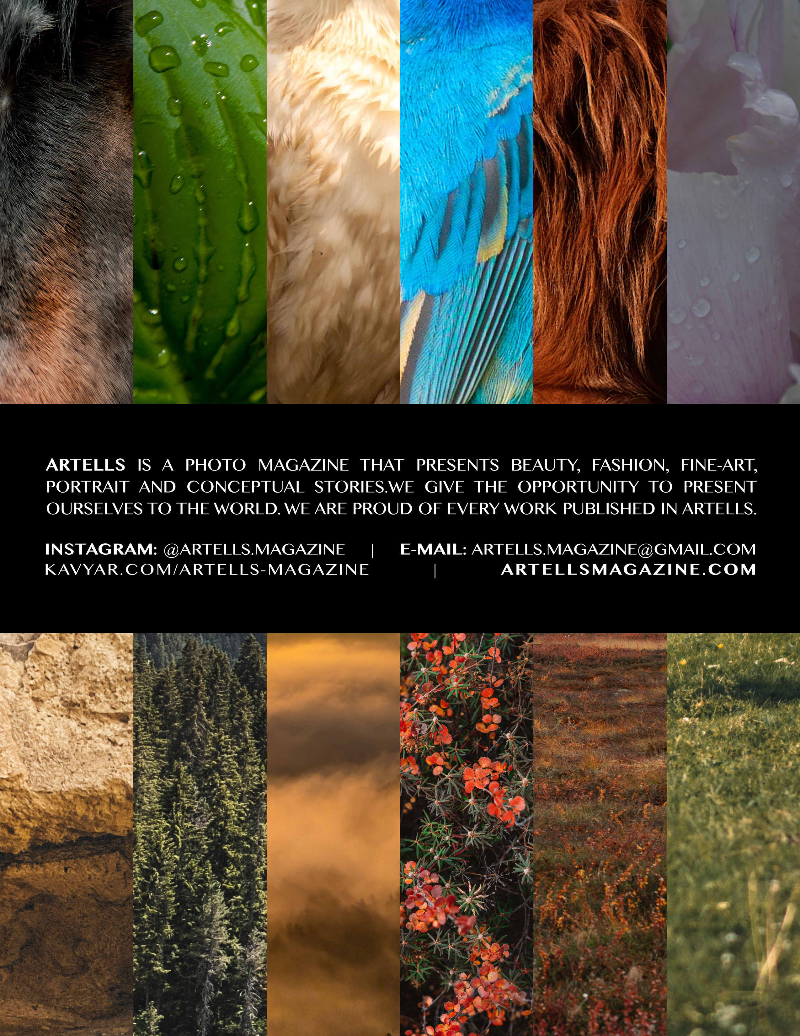 ARTELLS. Сейдозеро. Природа. Фотограф Наталья Могилевская Мурманск Териберка Сейдозеро Рыбачий