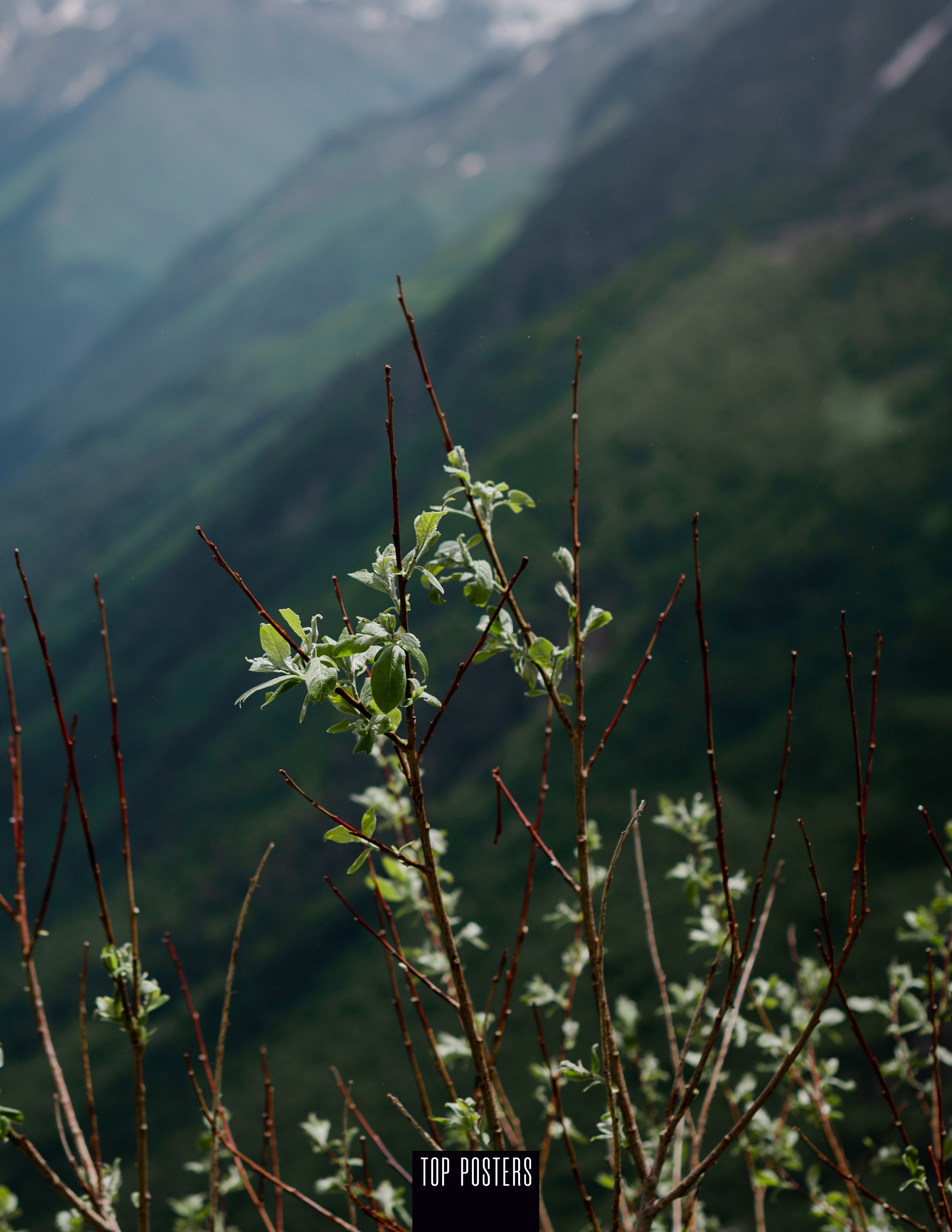 TOP POSTERS. Дагестан. Природа. Фотограф Наталья Могилевская Мурманск Териберка Сейдозеро Рыбачий