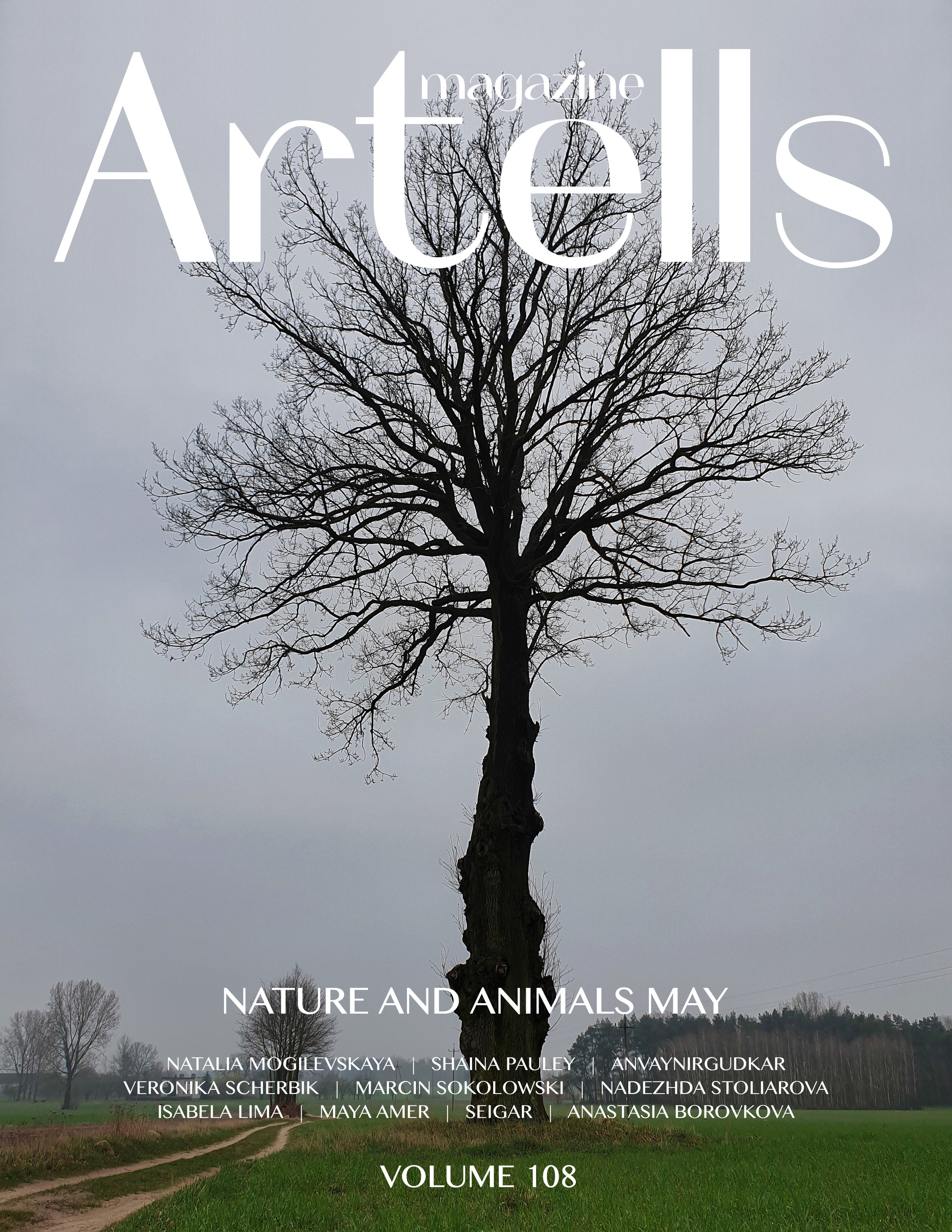 ARTELLS. Териберка. Природа. Фотограф Наталья Могилевская Мурманск Териберка Сейдозеро Рыбачий