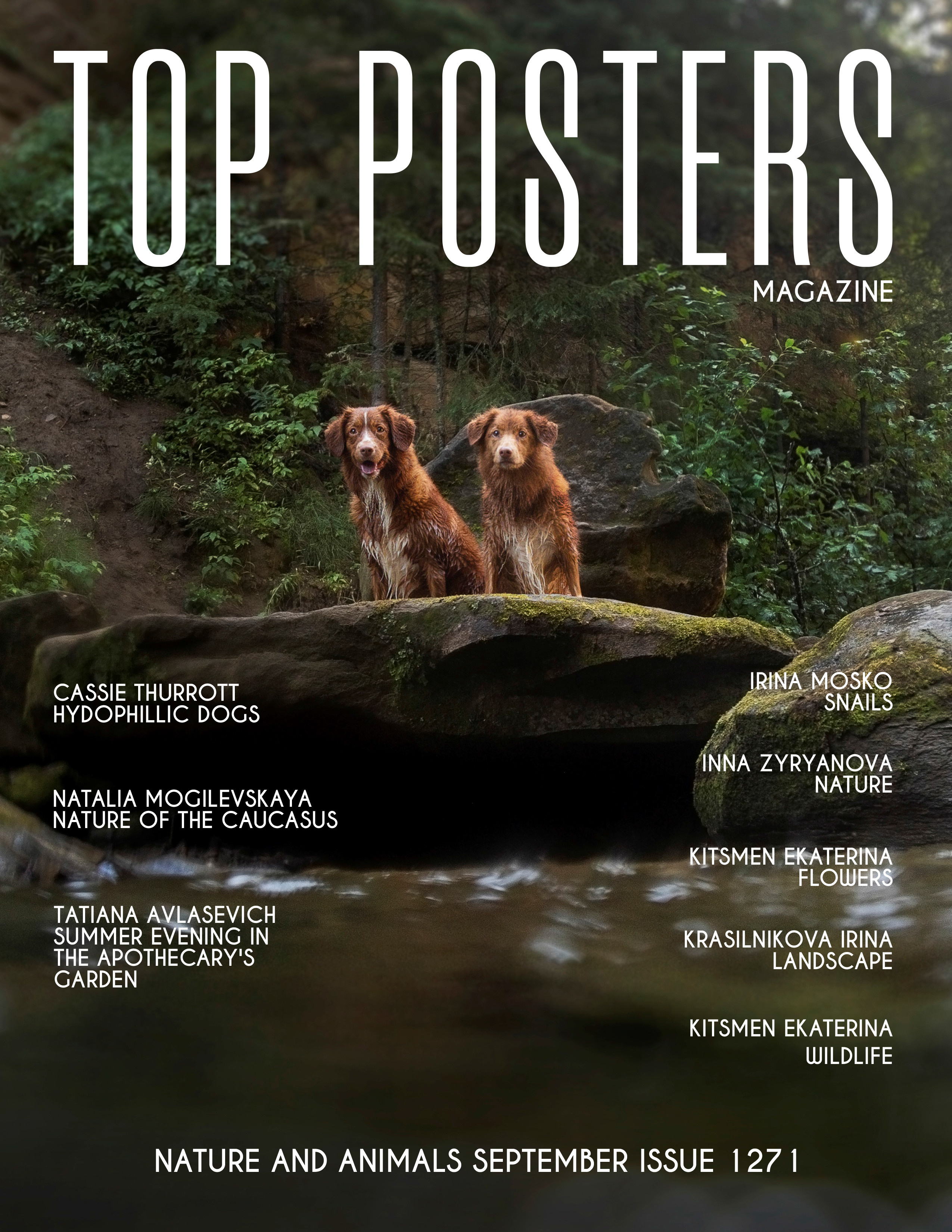 TOP POSTERS. Дагестан. Природа. Фотограф Наталья Могилевская Мурманск Териберка Сейдозеро Рыбачий