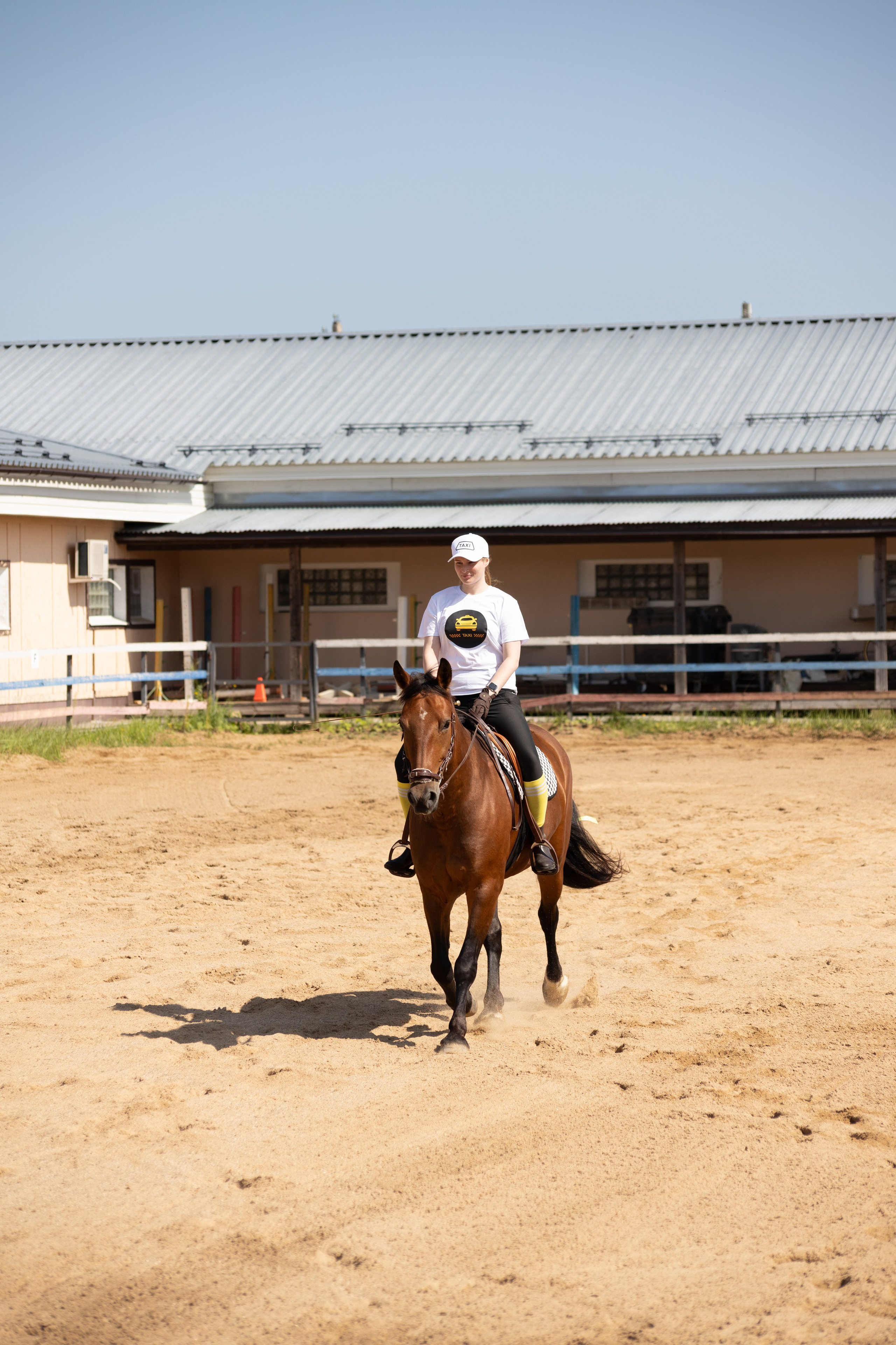 Конюшня. Фотограф в Москве и Истре