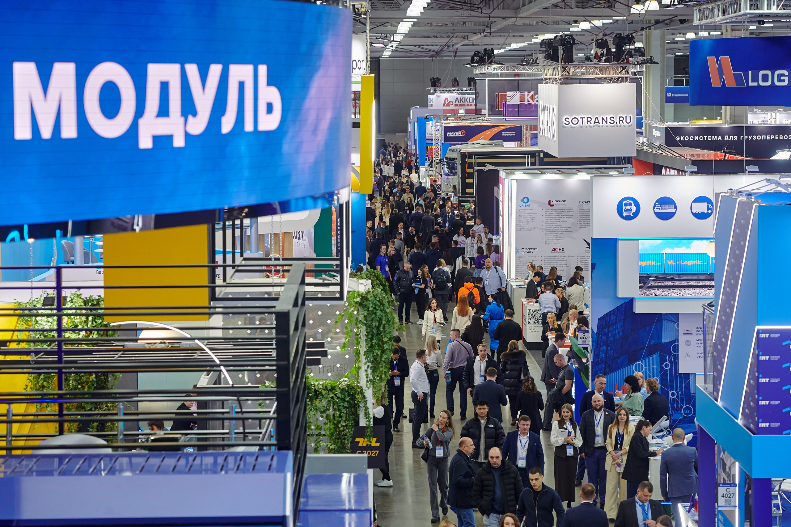 Выставки. Solofilms