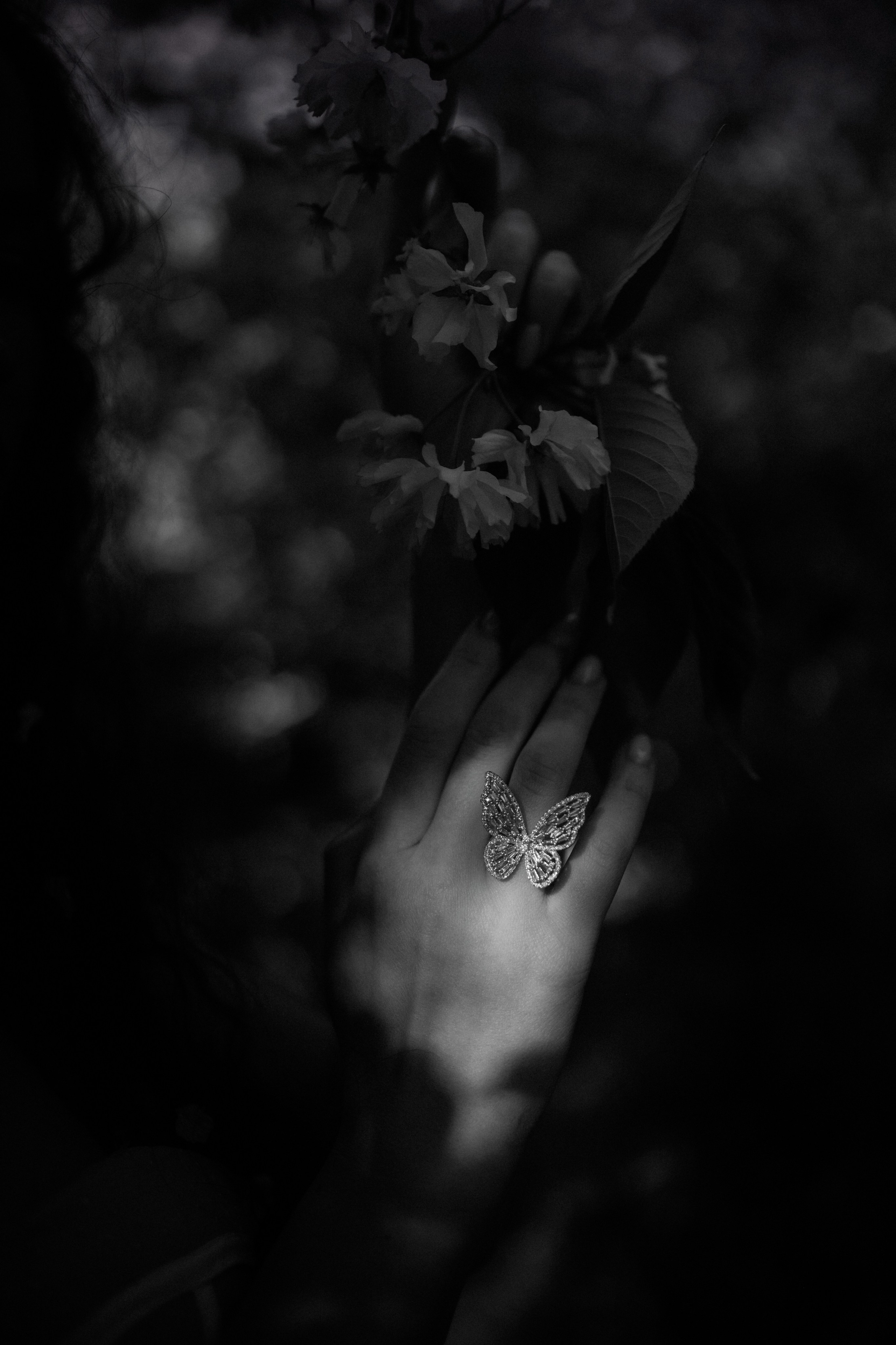 Разные виды съемок. Свадебный и семейный фотограф и видеограф, Крым, Москва, Санкт -Петербург