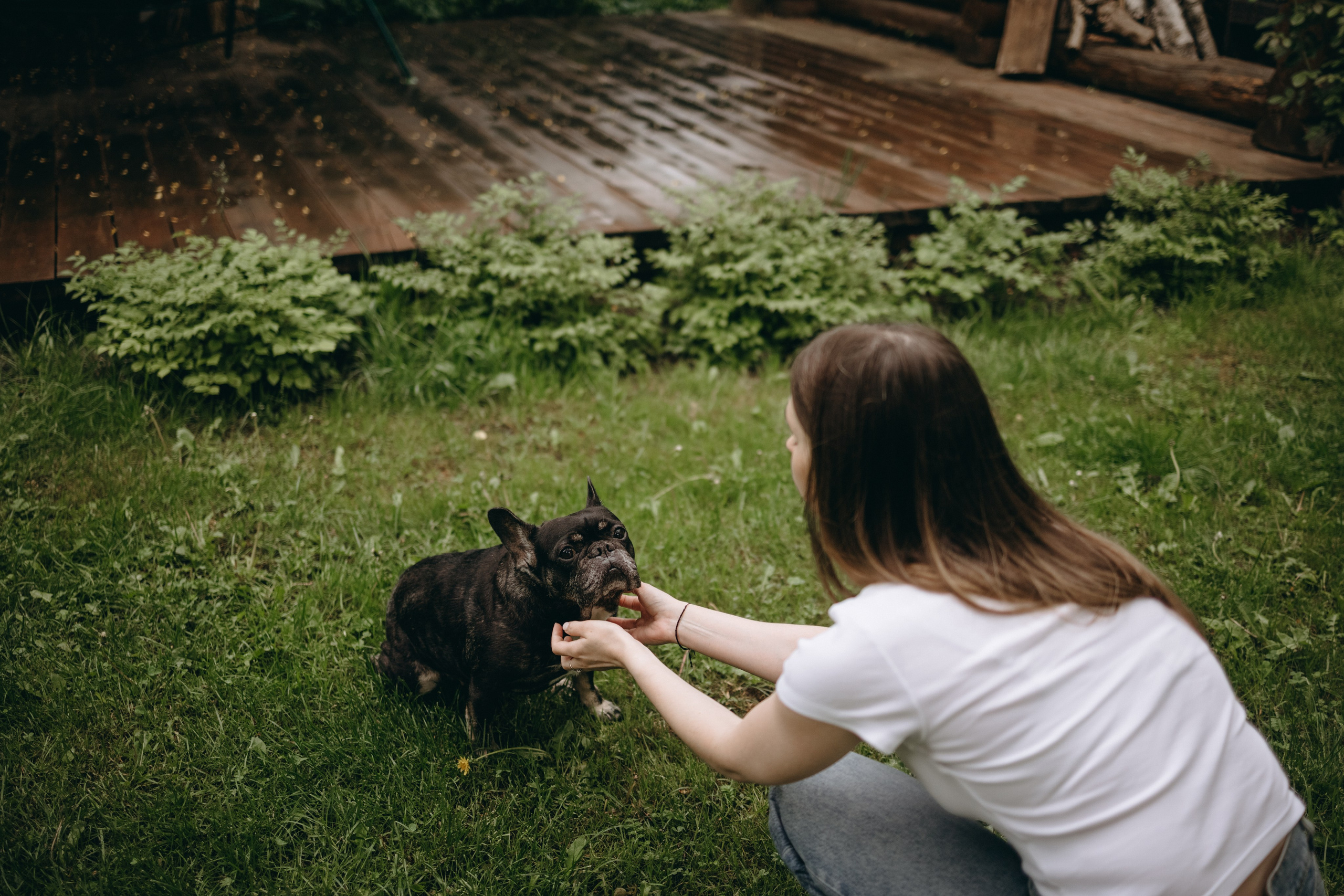Софа и ее хвостики. Фотограф — Анималист | Санкт-Петербург
