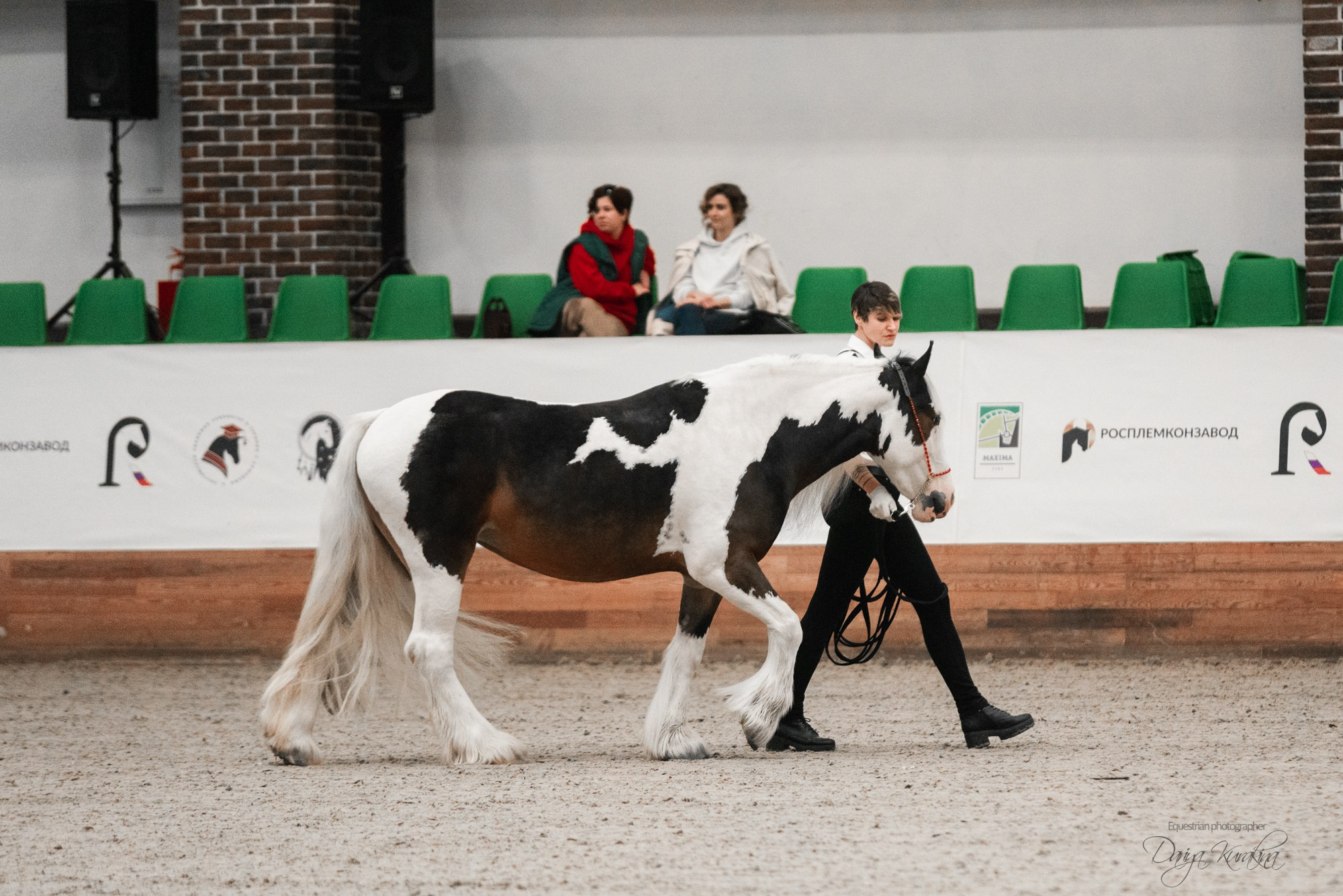 8-я международная выставка Конная Россия. Конный фотограф Куракина Дарья • Фотосессии с лошадьми