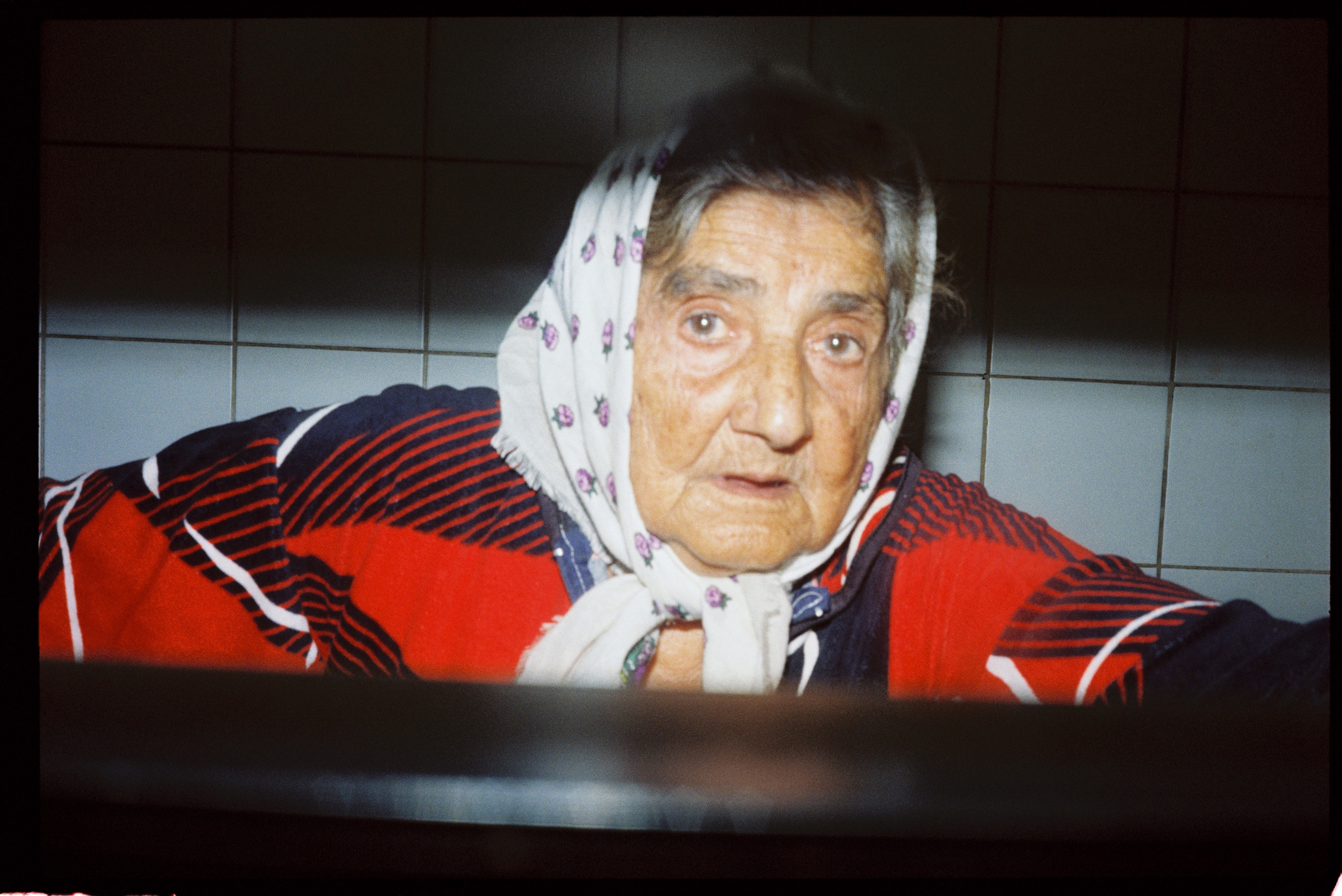 LIFE. Zheltokhov Egor