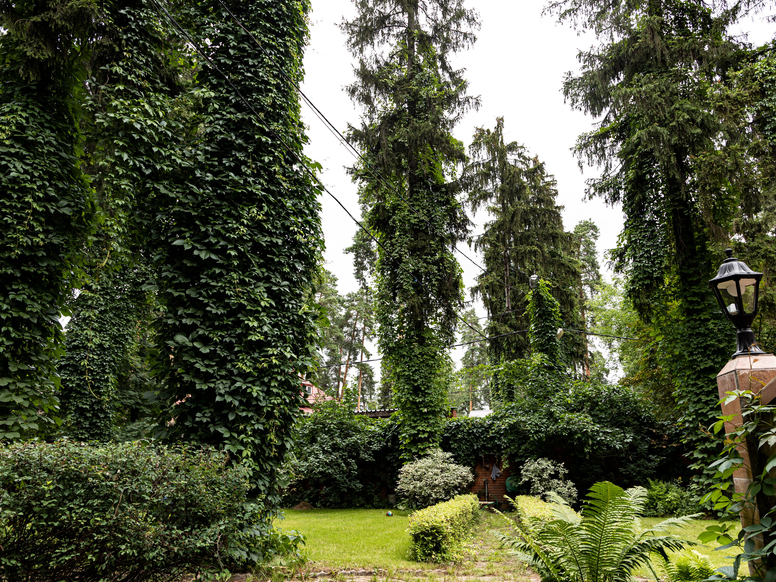 Фотограф Татьяна Марсуверских г. Жуковский, Москва и Мо. Репортажные съёмки, фотосессии. Детский, семейный фотограф. Фотограф для маркетплейсов, фотоуслуги в Жуковском Татьяна Марсуверских