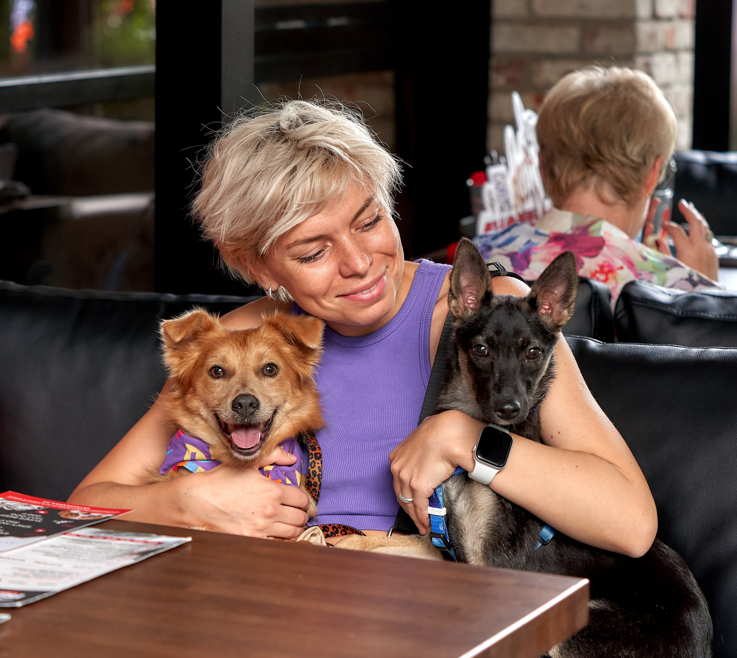 Мероприятия с собаками — галерея NATRIEL